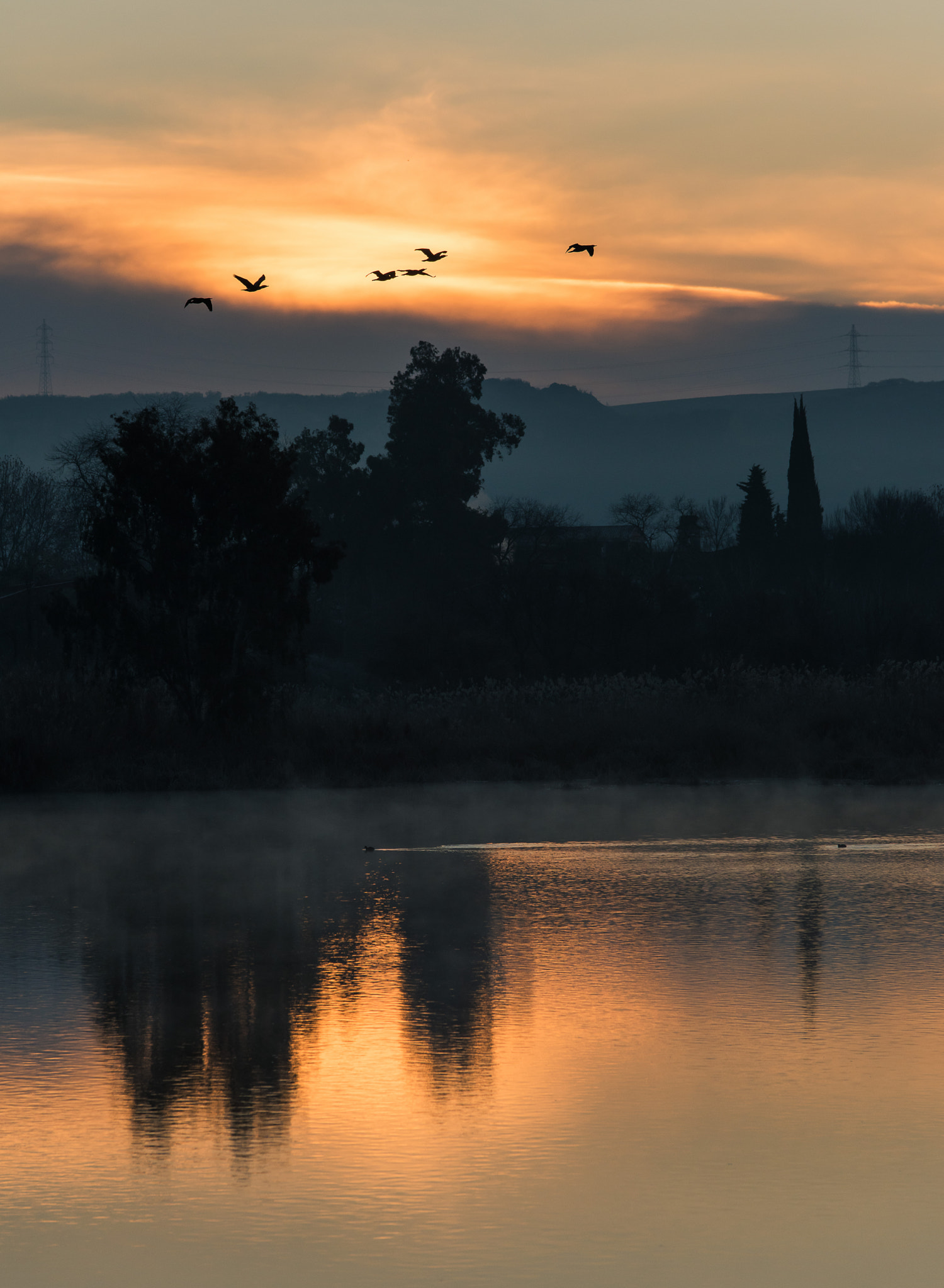 Nikon D810 sample photo. A sunrise in any place photography