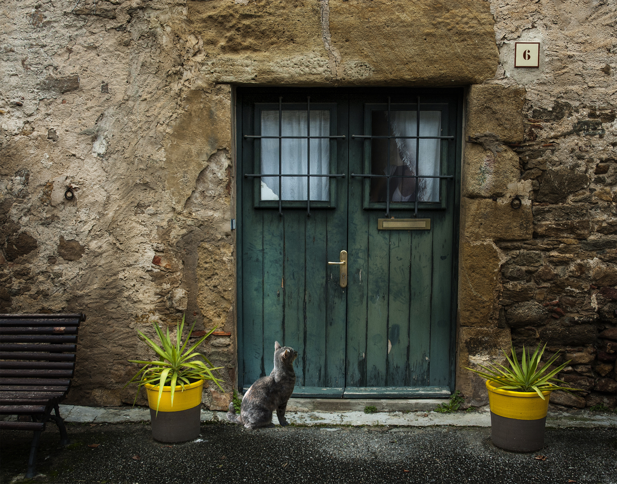 Nikon D70s sample photo. Good morning photography