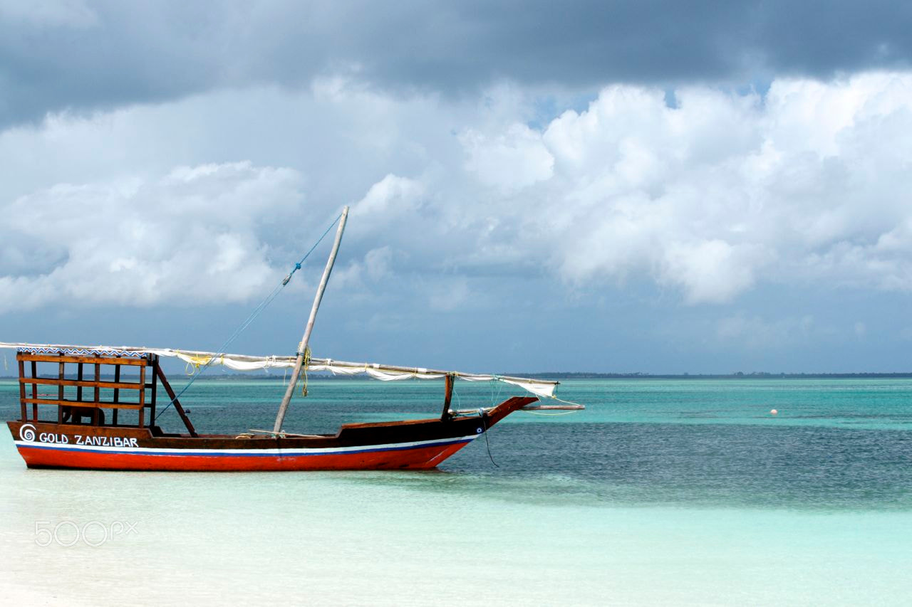 Sony Alpha DSLR-A850 sample photo. Gold zanzibar photography