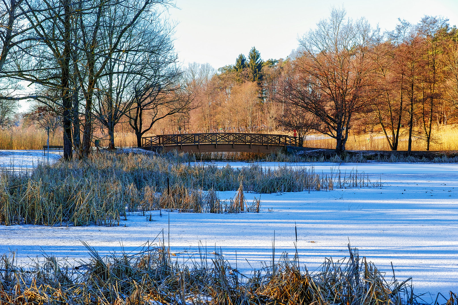 Sigma dp3 Quattro sample photo. Frozen pond photography