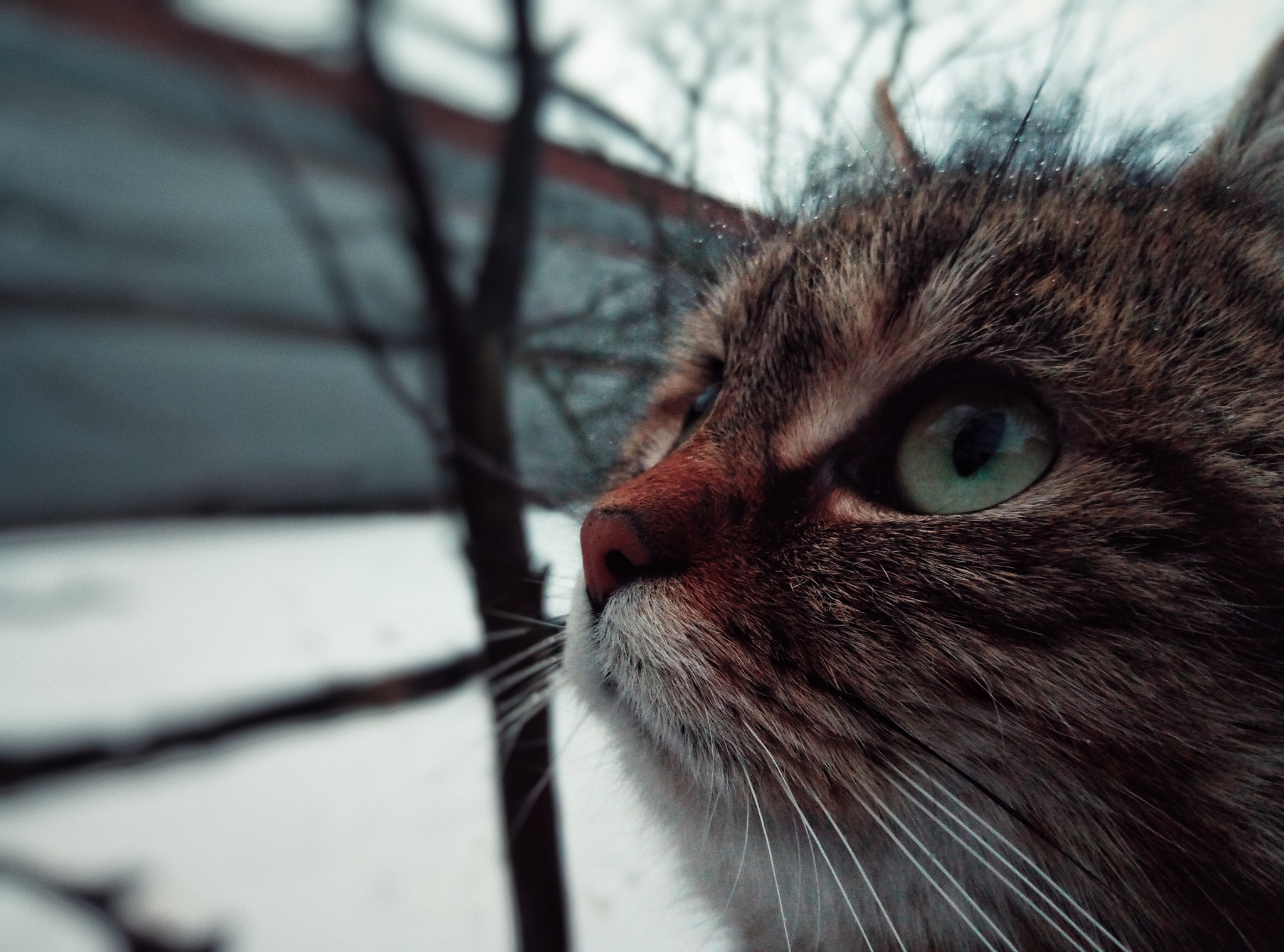 Meizu M3s sample photo