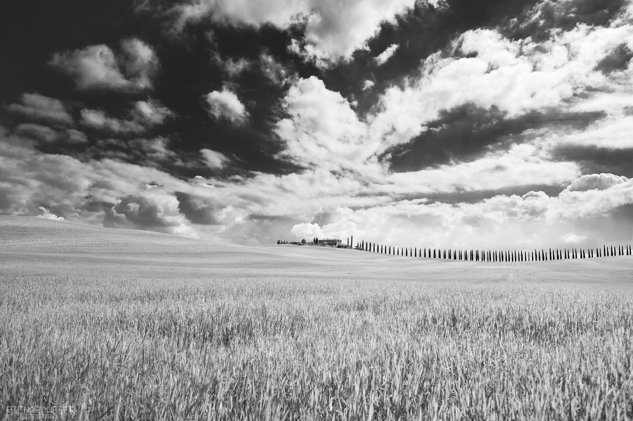 Nikon D3S sample photo. Finish line.. photography