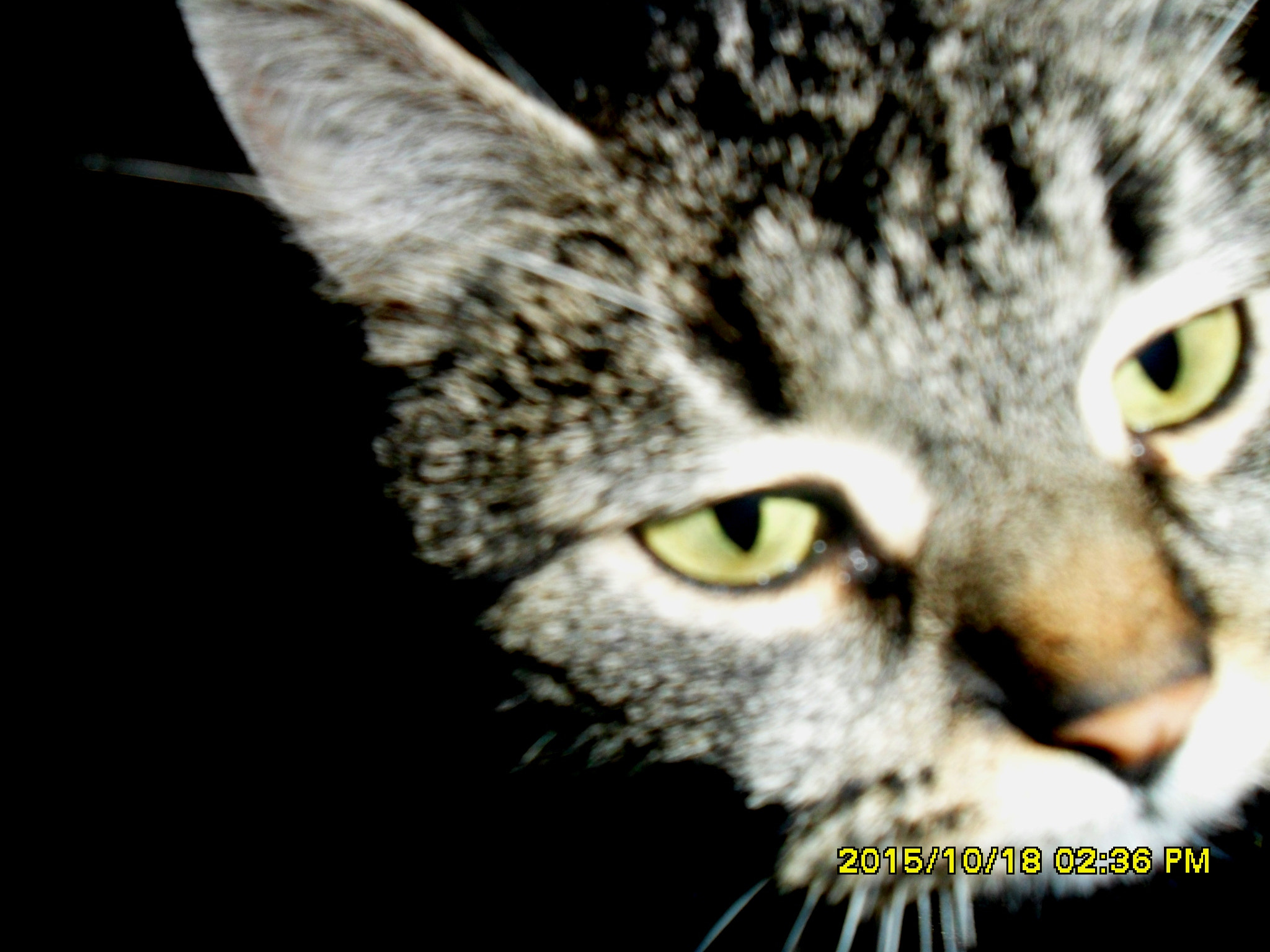 Samsung ES73 / VLUU ES73 /  SL605 sample photo. Sam photography