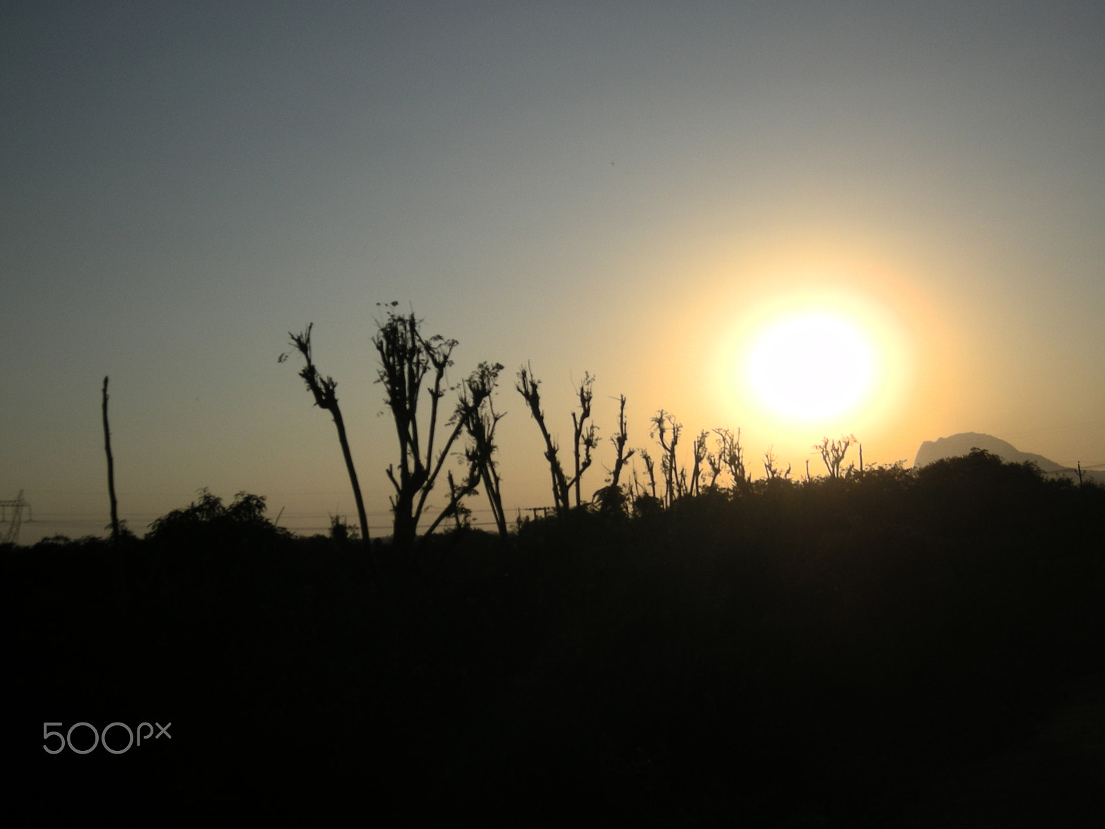 Nikon COOLPIX S500 sample photo. Tree line sunset...... tree torch photography