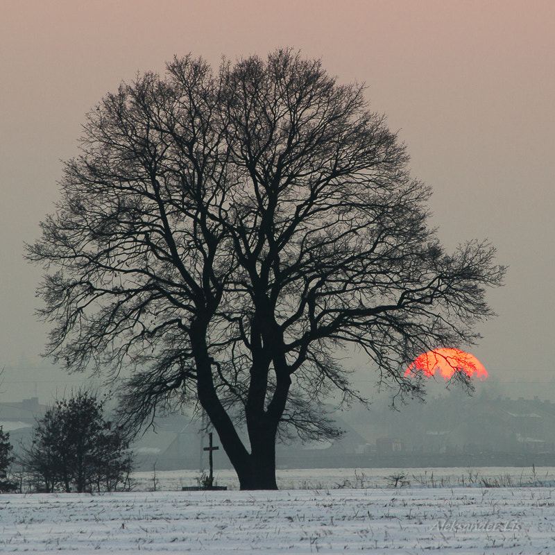 Canon EF-S 55-250mm F4-5.6 IS sample photo. Dusk photography