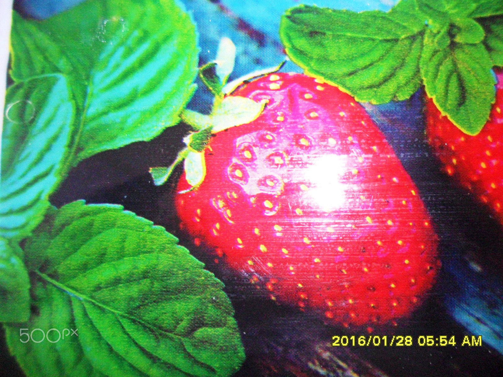 Samsung ES73 / VLUU ES73 /  SL605 sample photo. Sam photography