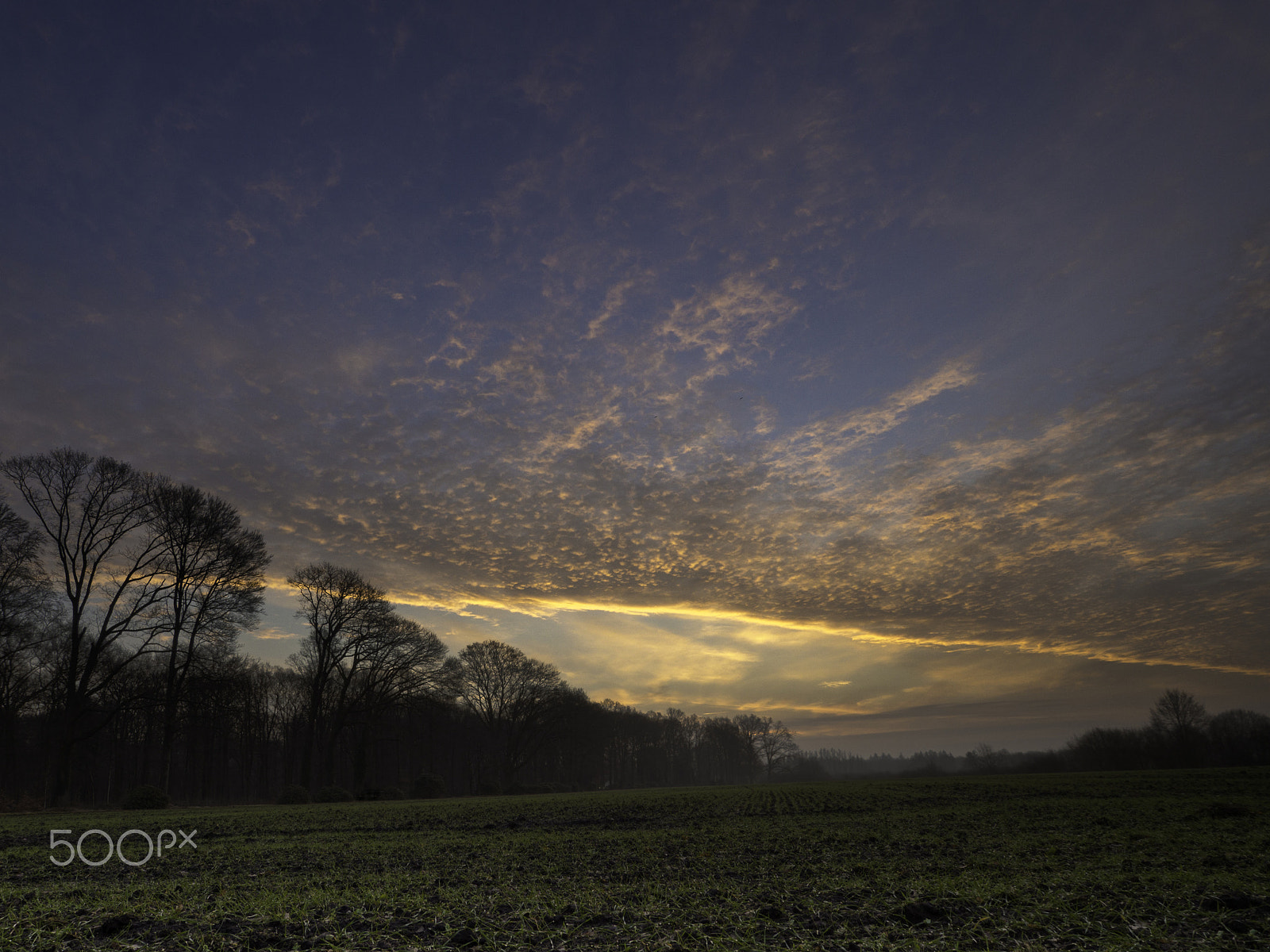 Olympus OM-D E-M10 sample photo. Sunrise in vorden photography