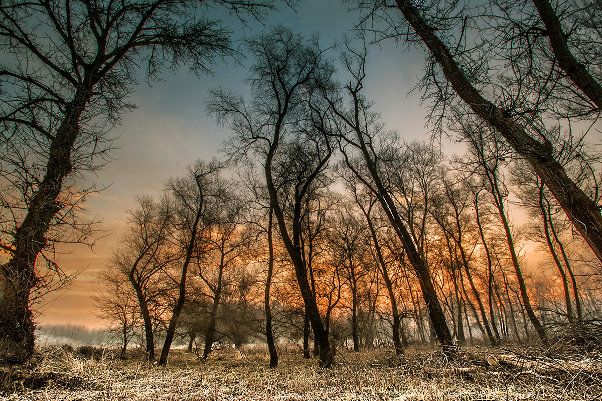 Sigma 10-20mm F3.5 EX DC HSM sample photo. Convergent photography