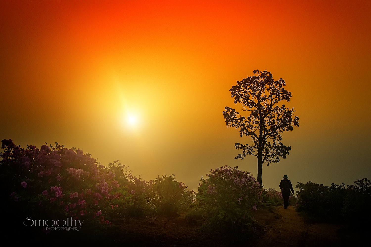 Canon EF 11-24mm F4L USM sample photo. Beautiful sunrise  .. photography