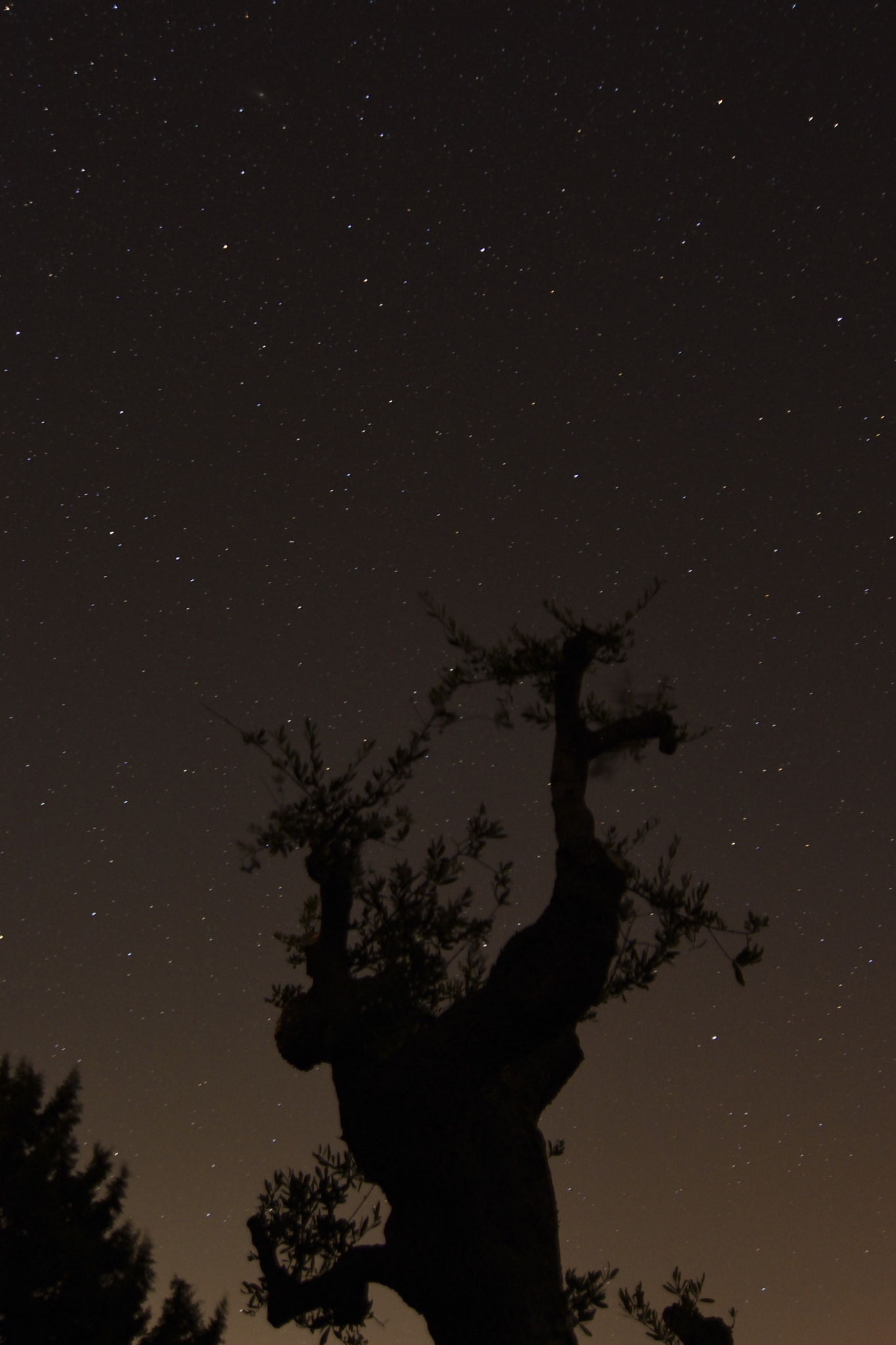 Nikon D5500 sample photo. In the night photography
