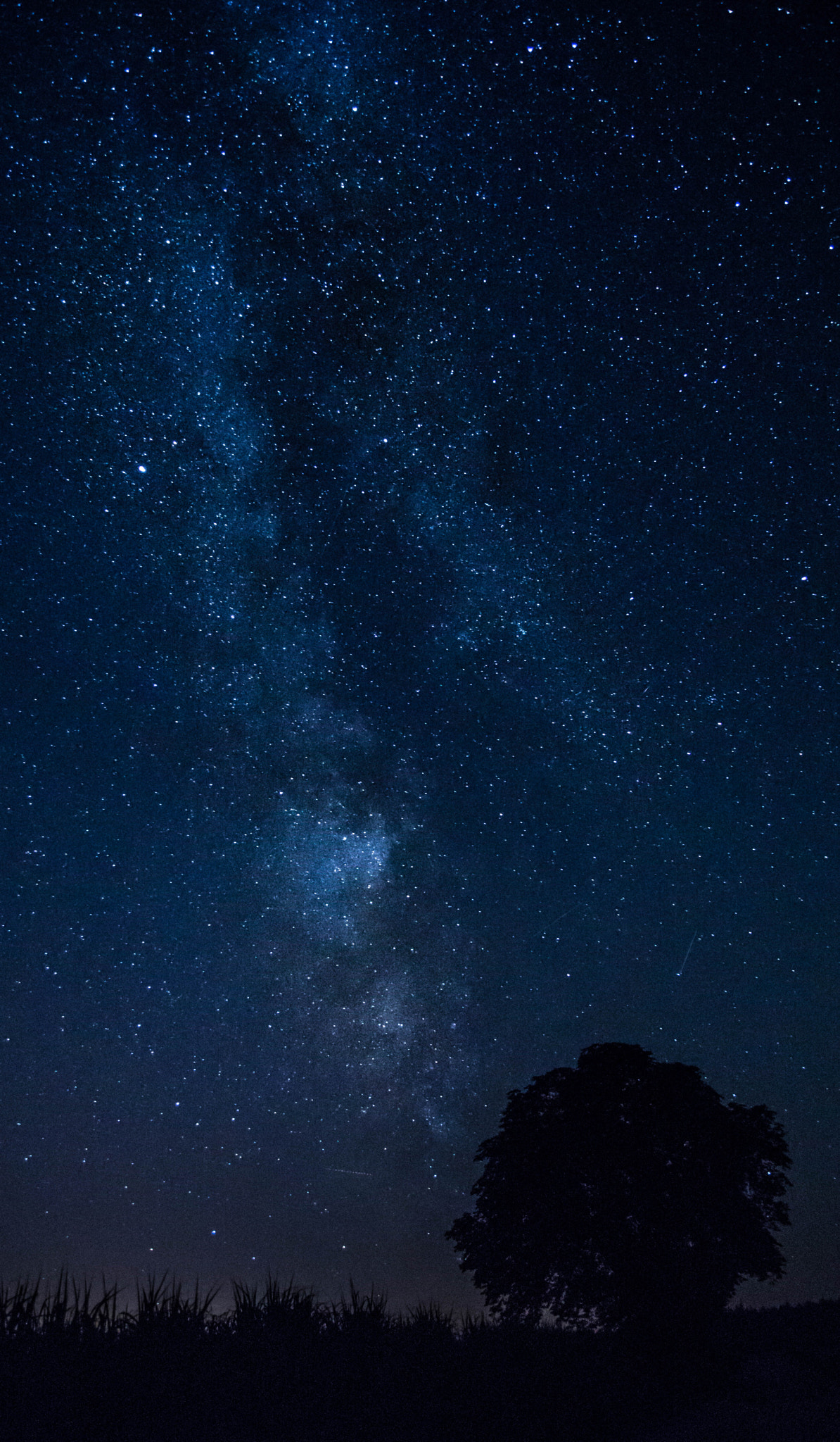 Sony SLT-A77 sample photo. Milky way photography