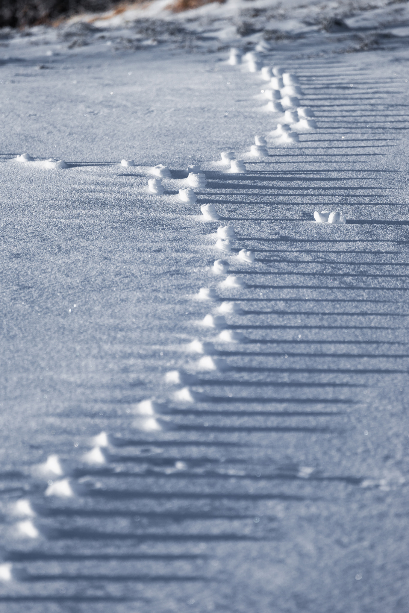 Sony 70-400mm F4-5.6 G SSM II sample photo. Tracks in the snow photography