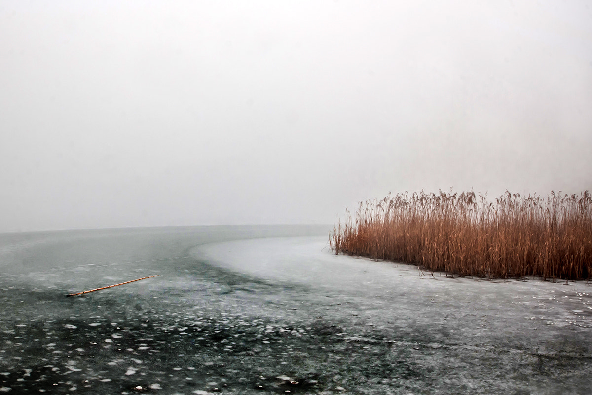 Sigma 10-20mm F3.5 EX DC HSM sample photo. Trapped in ice photography