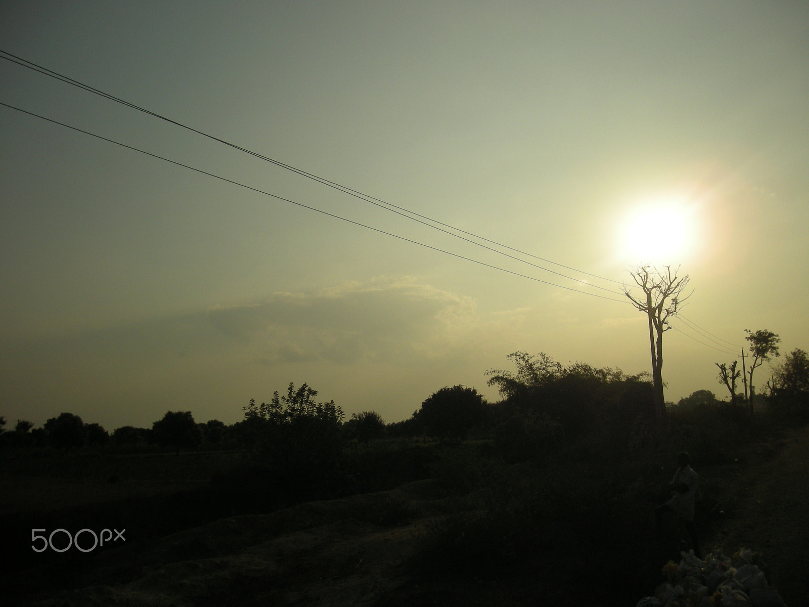 Nikon COOLPIX S500 sample photo. Torch formed wit tree and sun photography