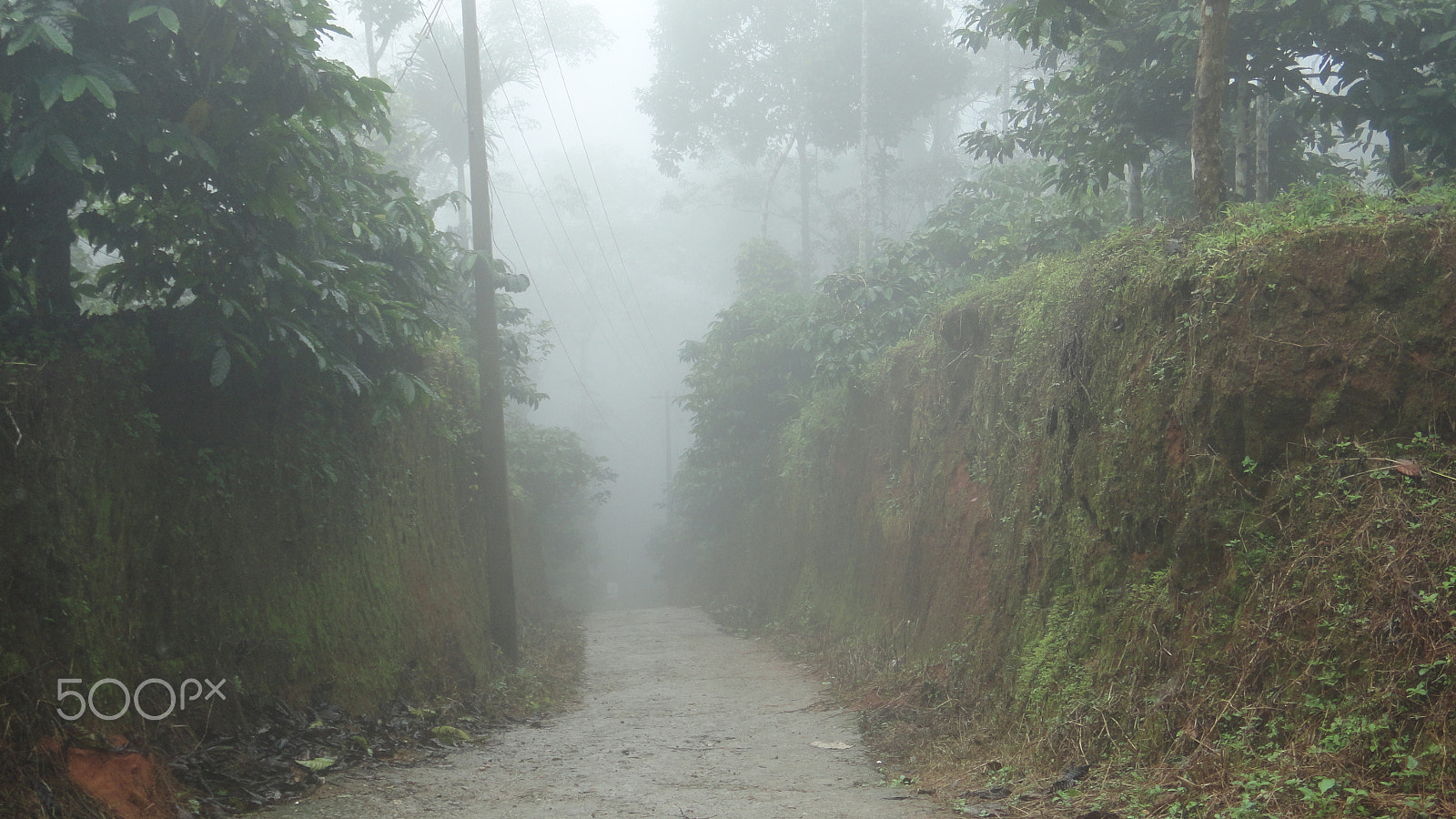 Sony DSC-T110 sample photo. Path covered with mist photography