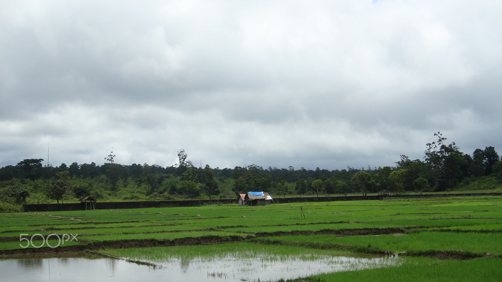 Sony DSC-T110 sample photo. House center of agriculture land with clouds photography