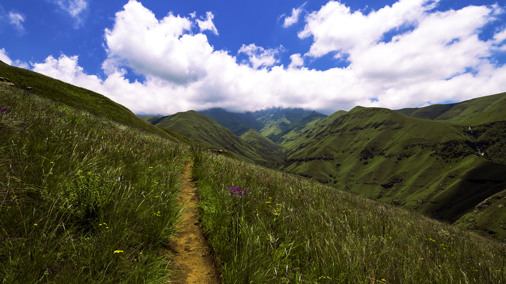 Olympus OM-D E-M10 II + OLYMPUS M.9-18mm F4.0-5.6 sample photo. Hiking in the drakensberg photography