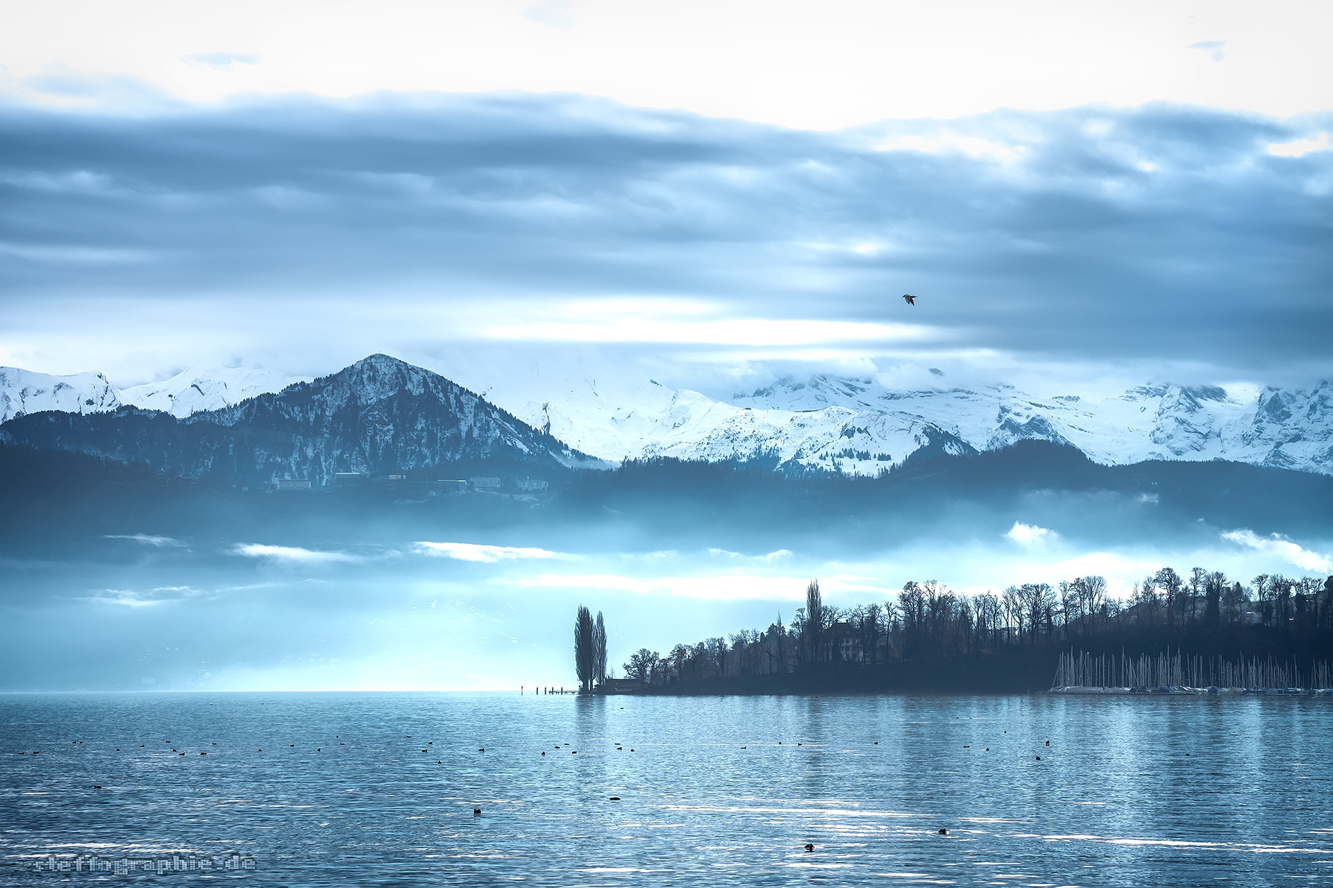 Fujifilm X-T1 + Fujifilm XF 60mm F2.4 R Macro sample photo. 4waldstädtersee inblue photography