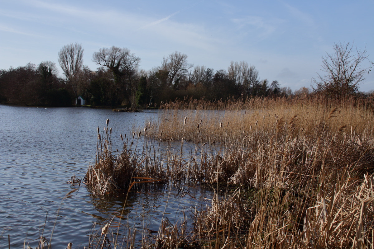 Canon EF 75-300mm F4.0-5.6 IS USM sample photo. Thorpeness meare photography