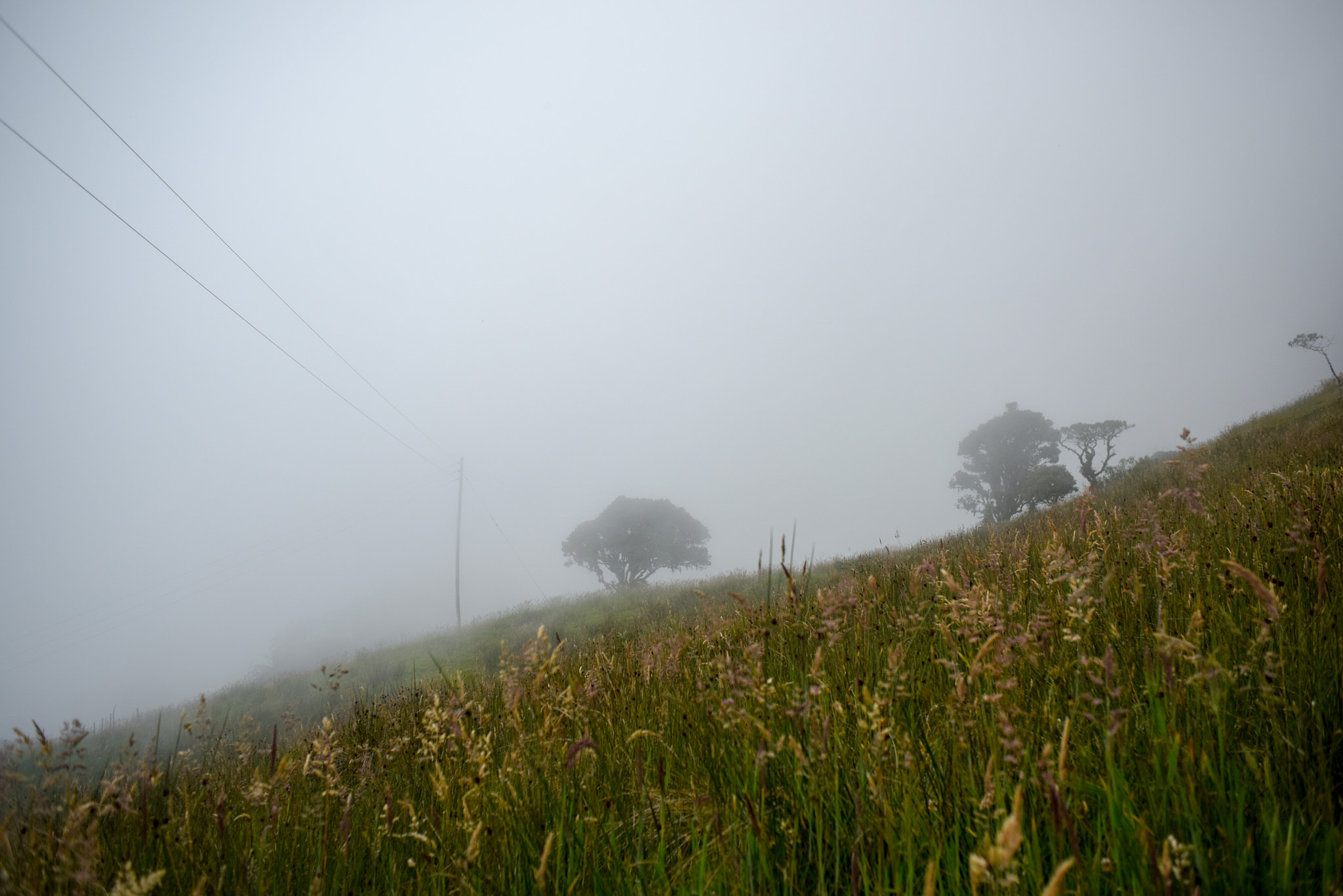 Nikon D810 + AF Nikkor 28mm f/2.8 sample photo. Sunset in colombian paramos photography