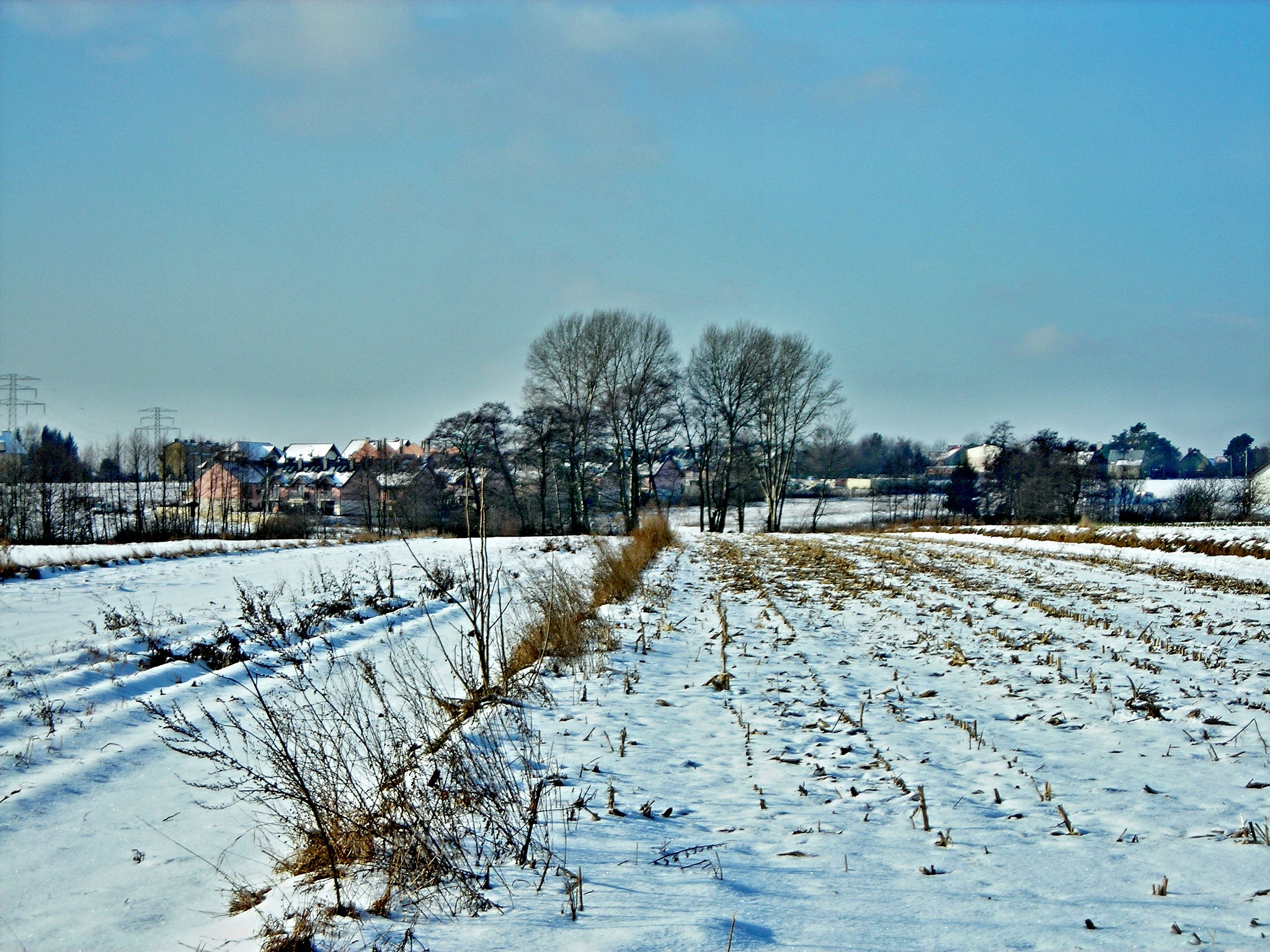 Nikon COOLPIX L3 sample photo. Winter landscape. photography