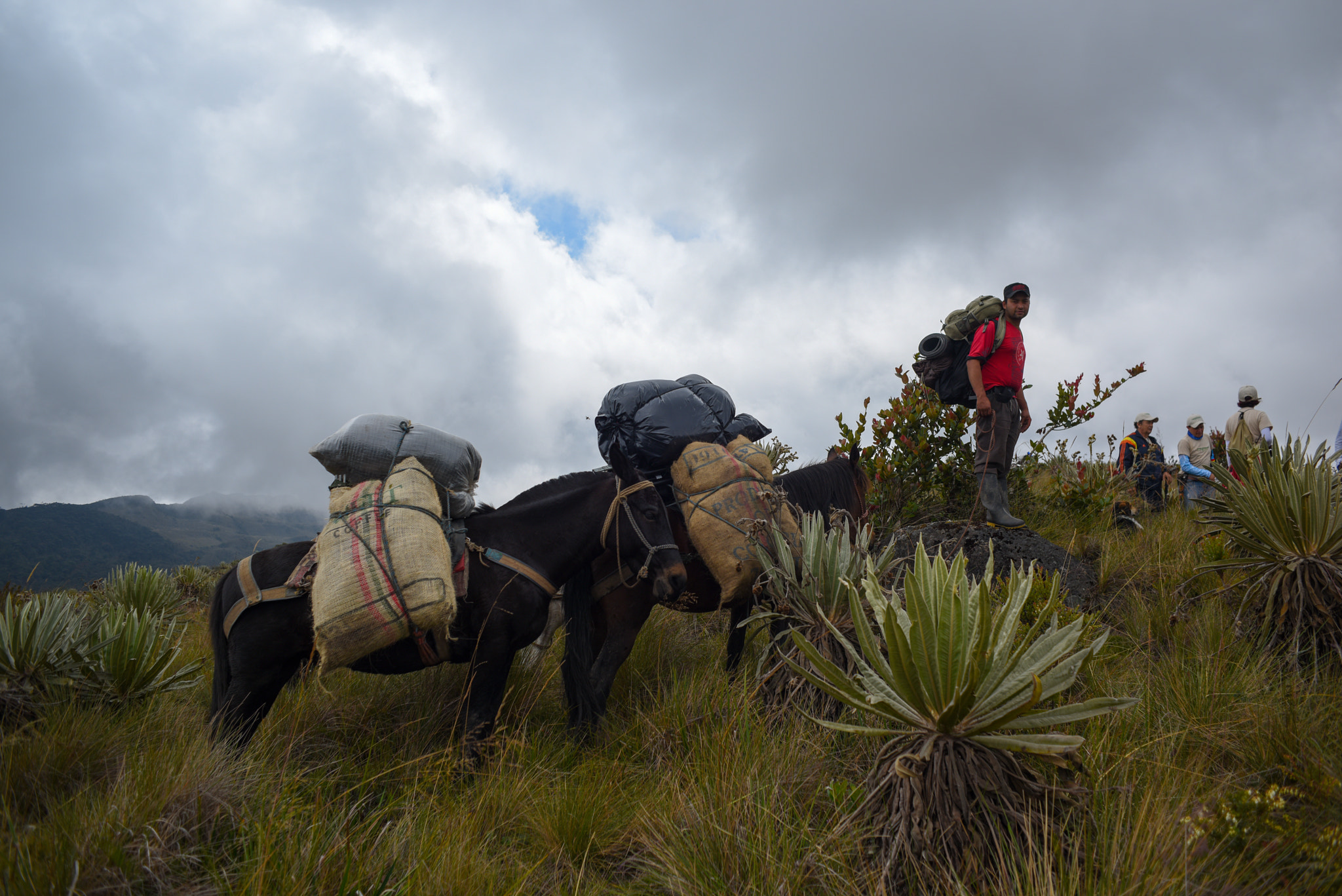 AF Nikkor 28mm f/2.8 sample photo. The travel to colombian paramos photography