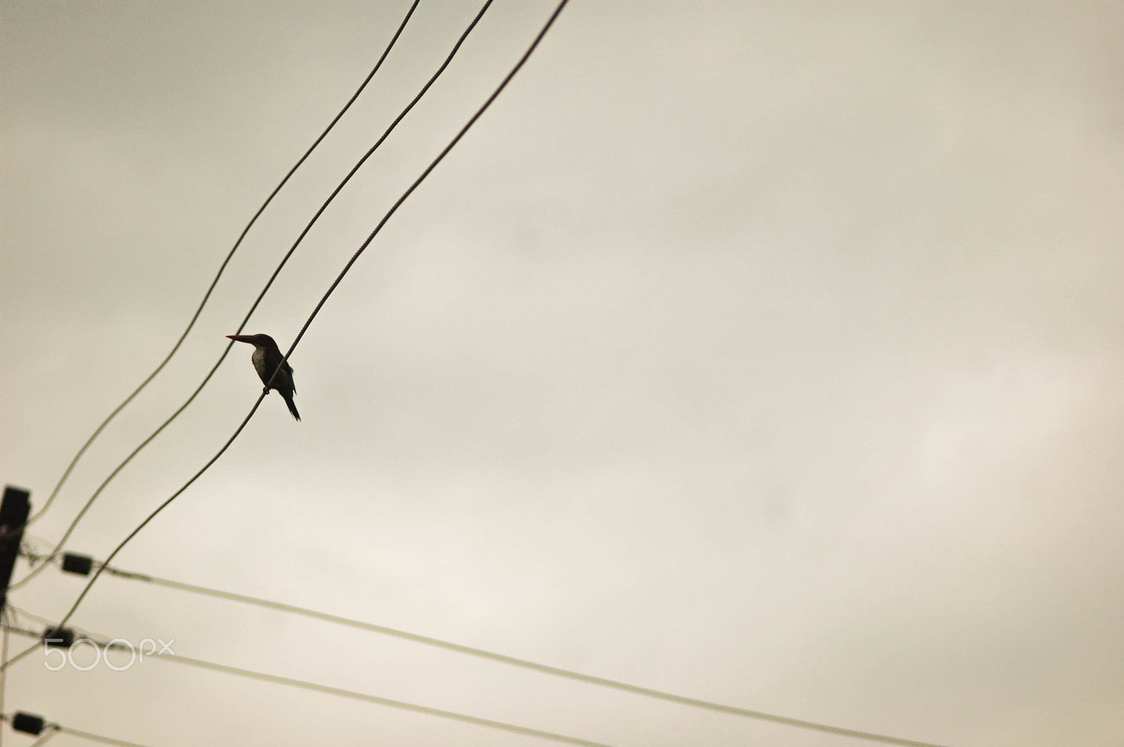 Nikon D70 sample photo. Enjoying the evening photography