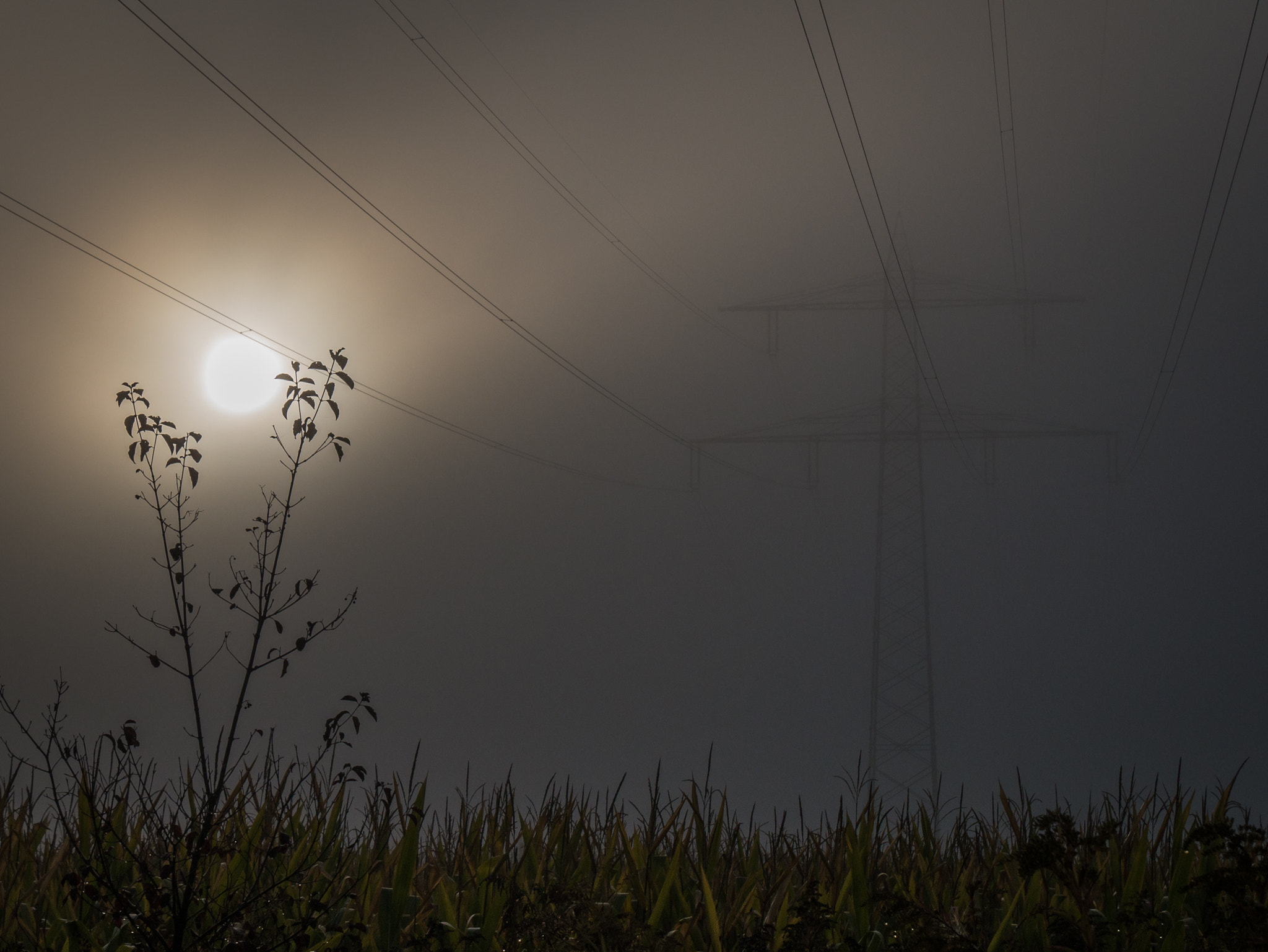 Panasonic Lumix DMC-GX7 sample photo. High-voltage line photography