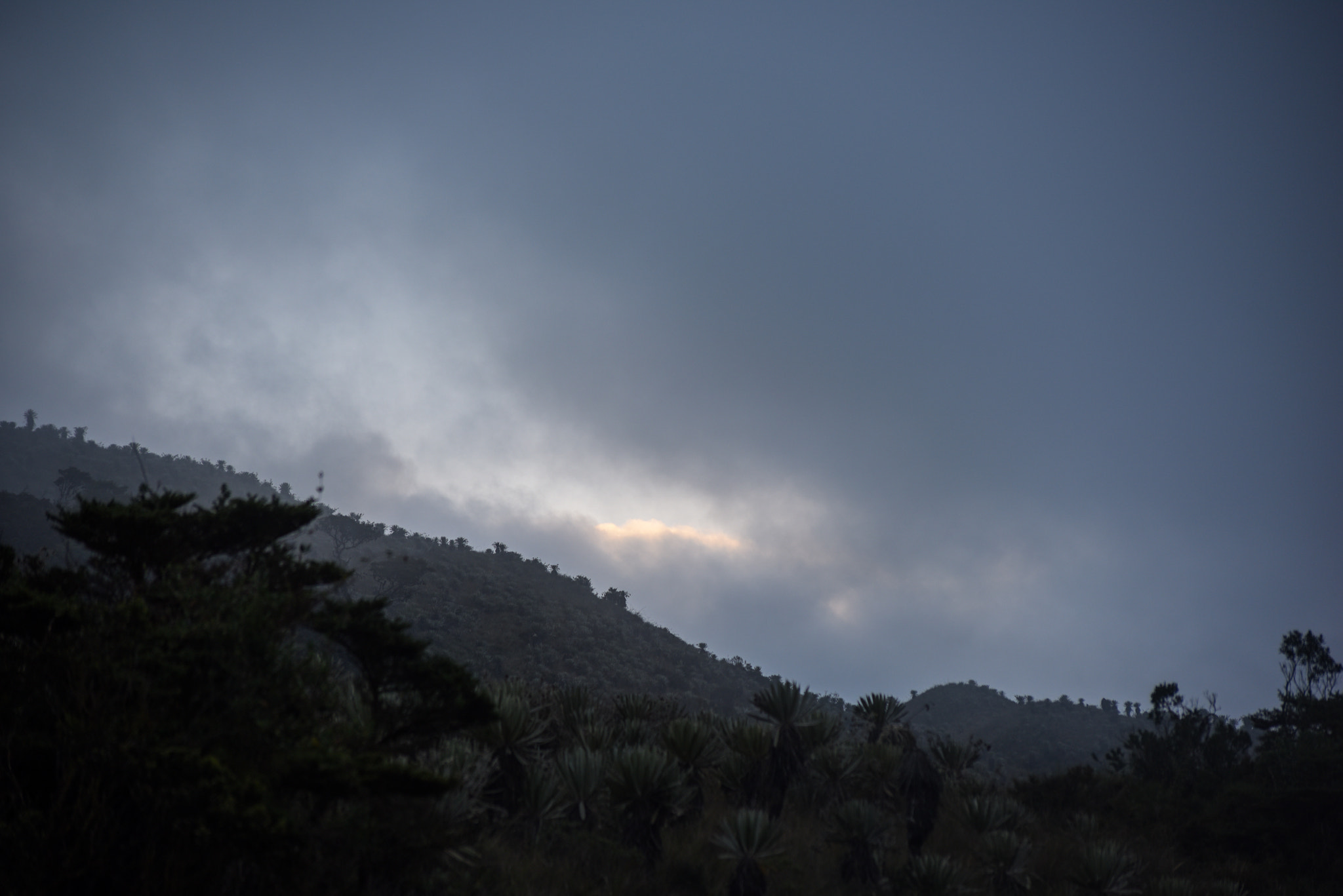 Nikon D810 sample photo. Colombian paramos photography