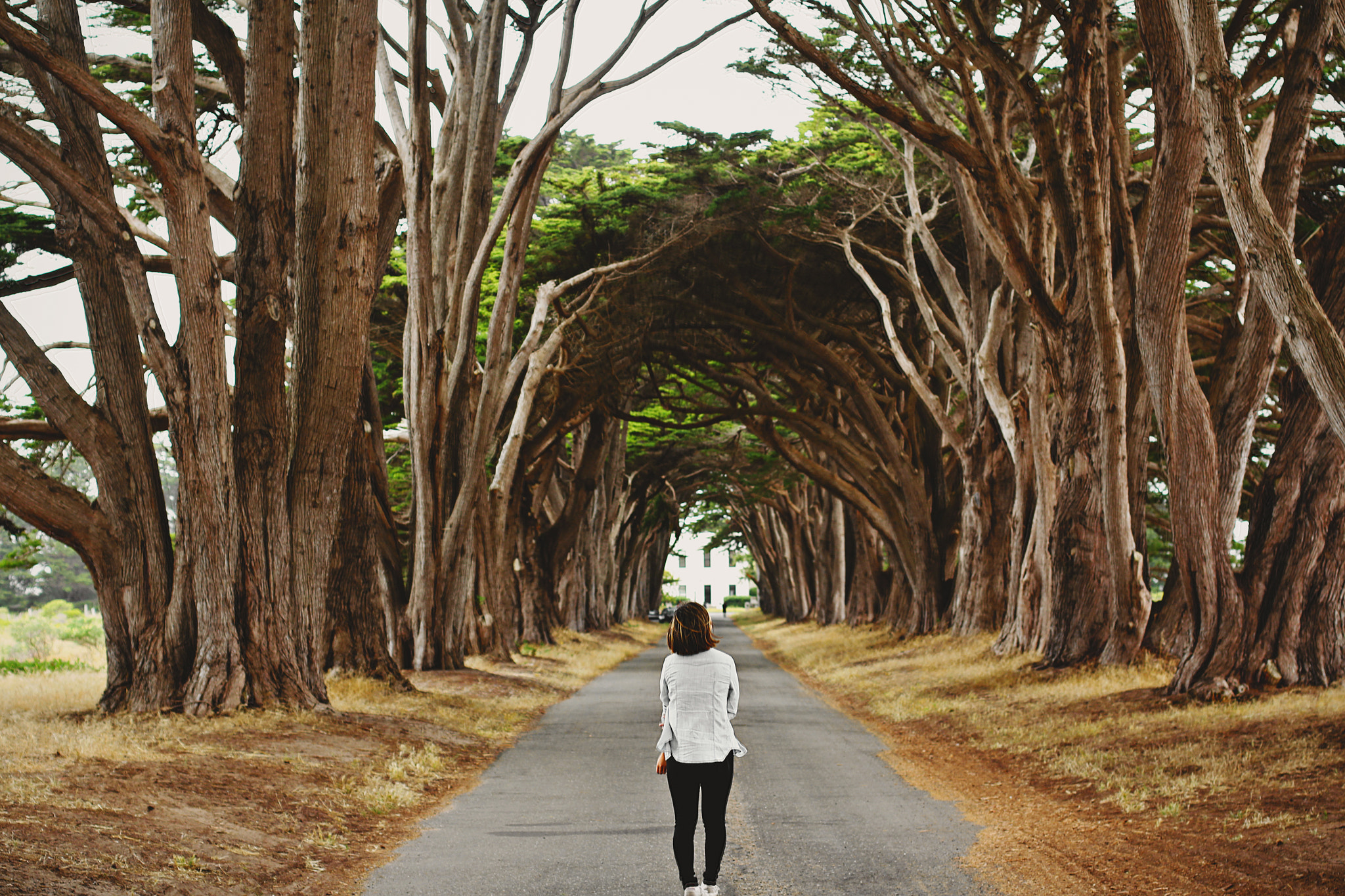 Canon EF 50mm F1.4 USM sample photo. Symmetry photography