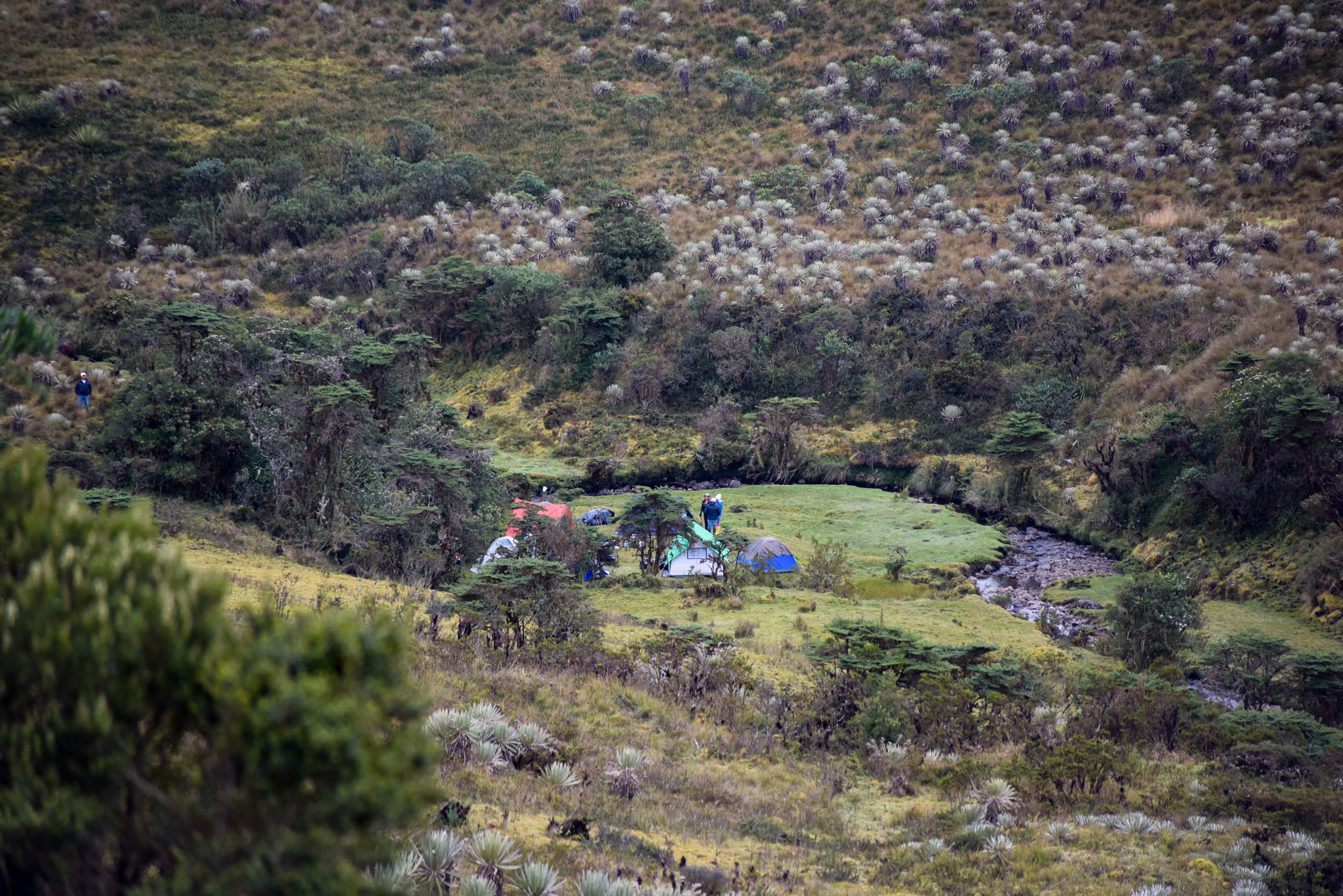 Nikon D810 sample photo. Base camp photography