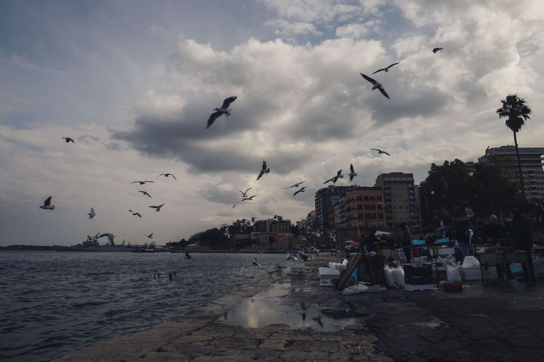 Olympus OM-D E-M1 sample photo. Mercato del pesce taranto photography