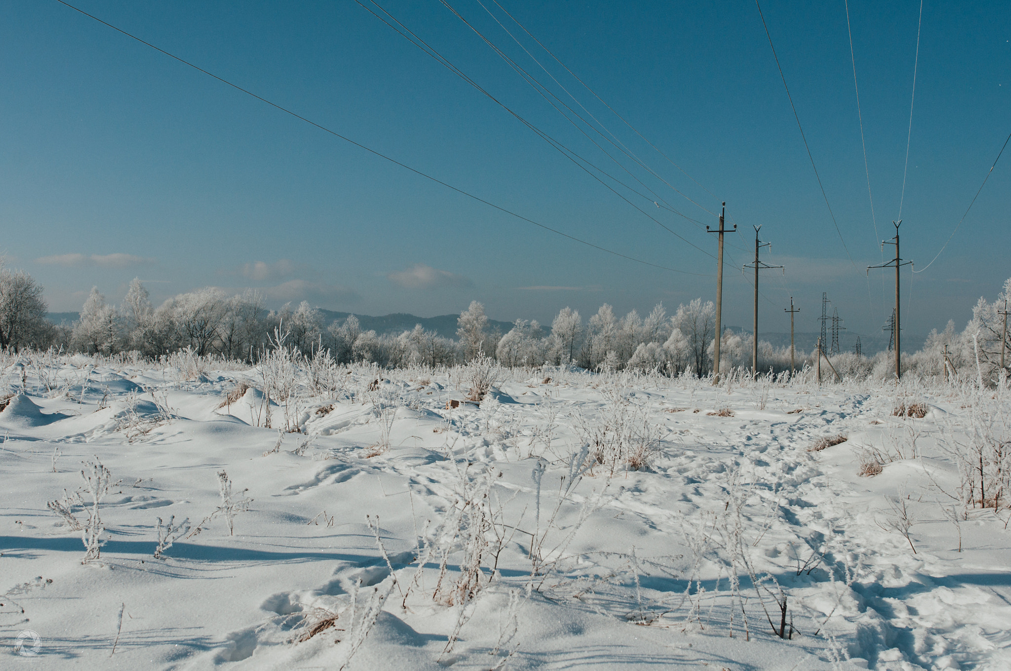 Nikon D90 sample photo. Winter photography