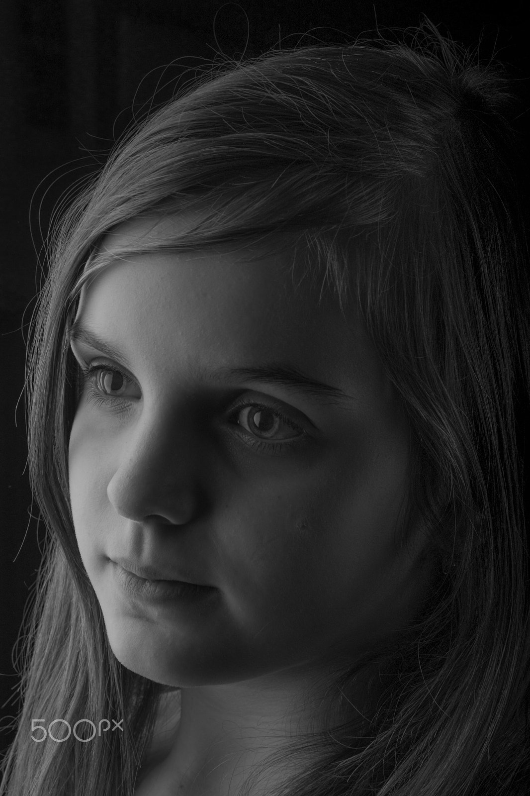Sigma 17-70mm F2.8-4 DC Macro OS HSM sample photo. Adelka photography
