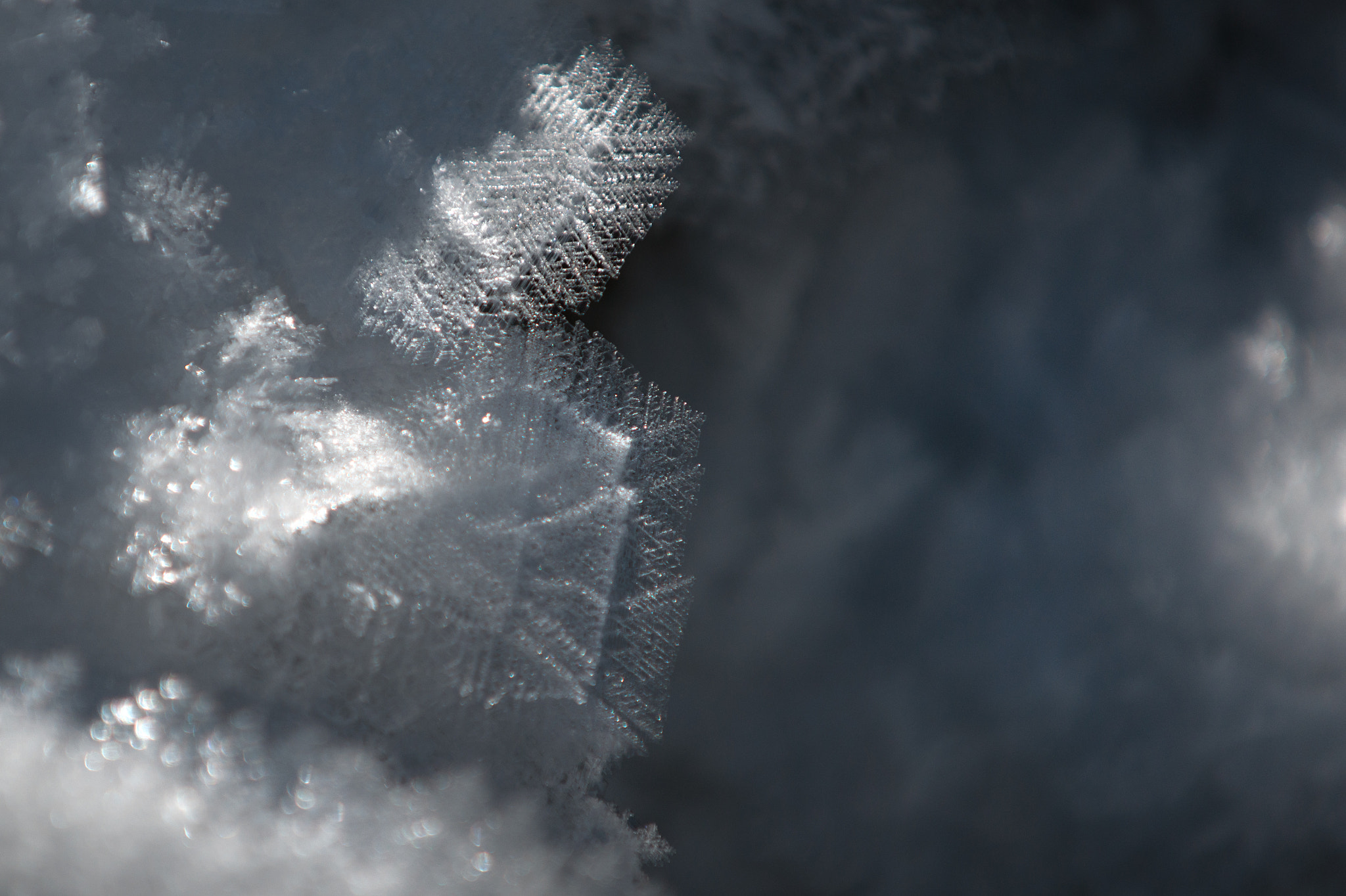 Minolta/Sony AF 70-200mm F2.8 G sample photo. White frost (5) photography