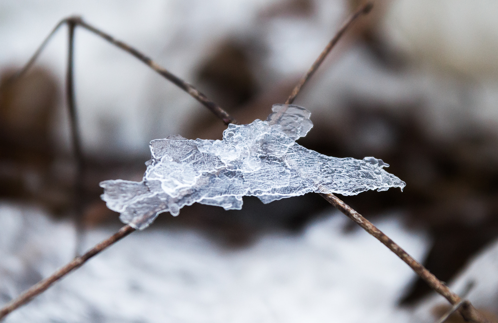 Sigma 70-200mm F2.8 EX DG OS HSM sample photo. Suspended ice photography