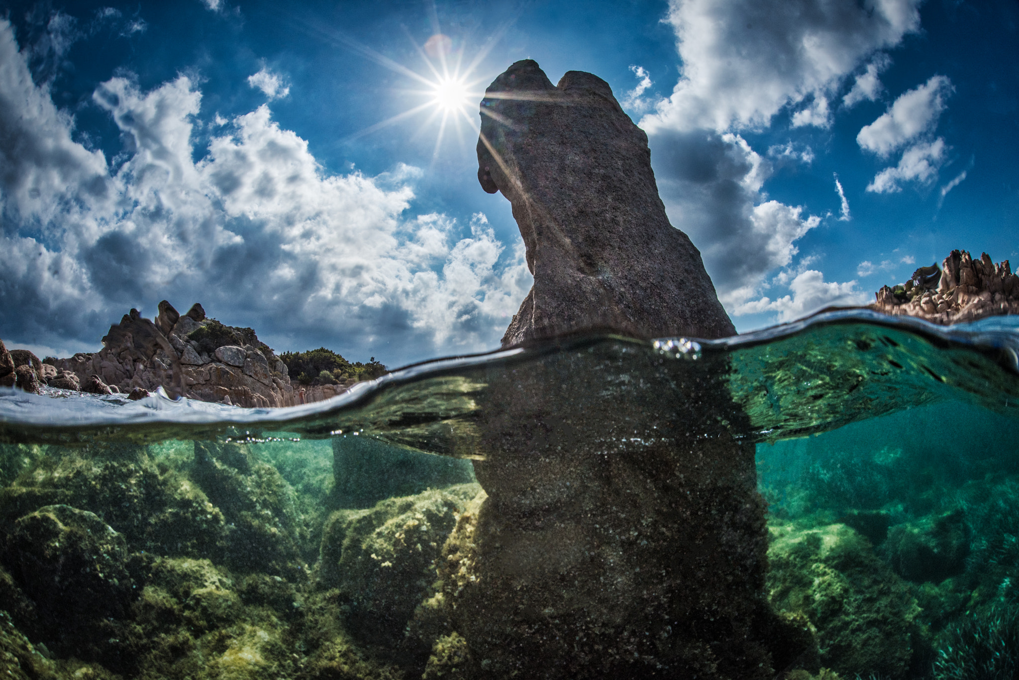 Nikon D750 + Sigma 15mm F2.8 EX DG Diagonal Fisheye sample photo. Venus de mi l'eau photography