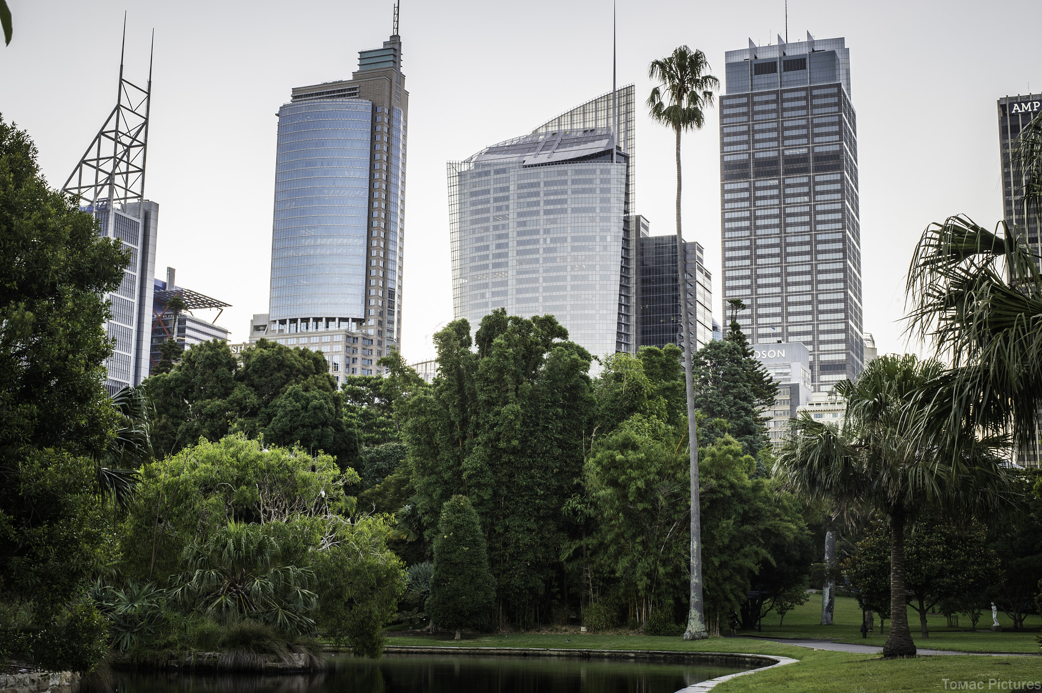 Nikon D4S + Nikon AF-S Nikkor 50mm F1.8G sample photo. View from botanic garden - sydney photography