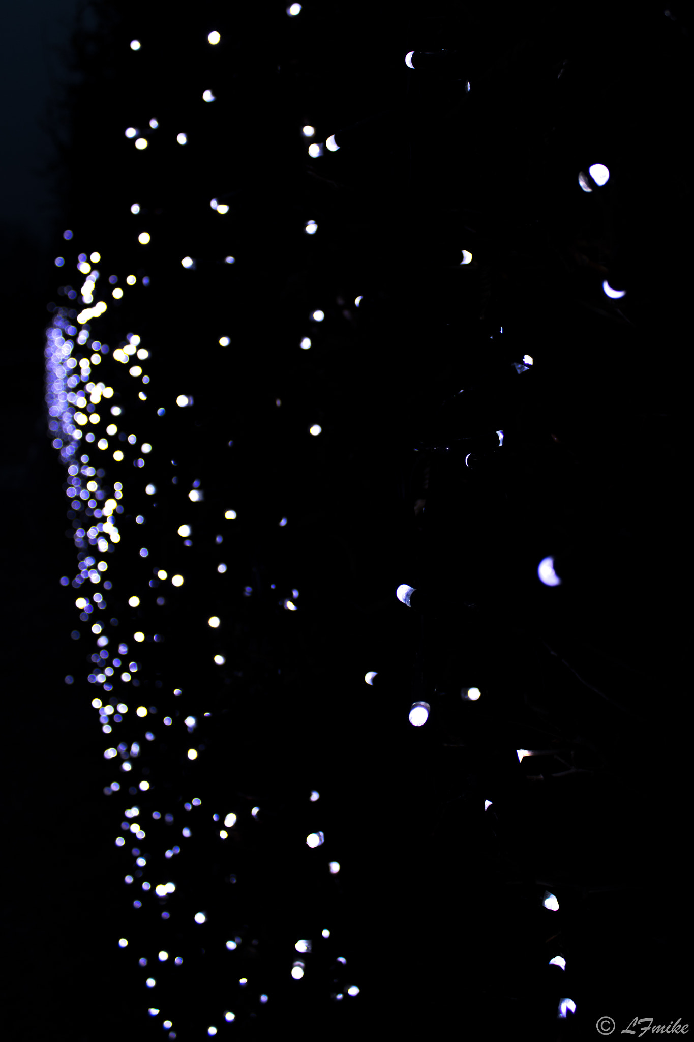 Canon EOS 760D (EOS Rebel T6s / EOS 8000D) sample photo. Light photography
