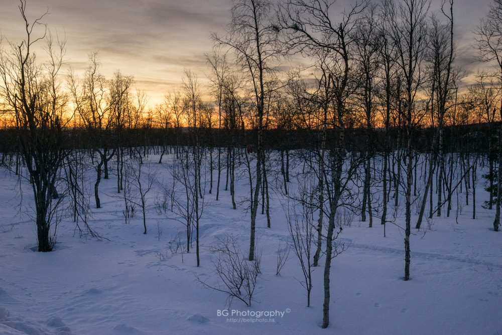 Sony a7 II + Canon EF 85mm F1.2L II USM sample photo. Dawn. photography