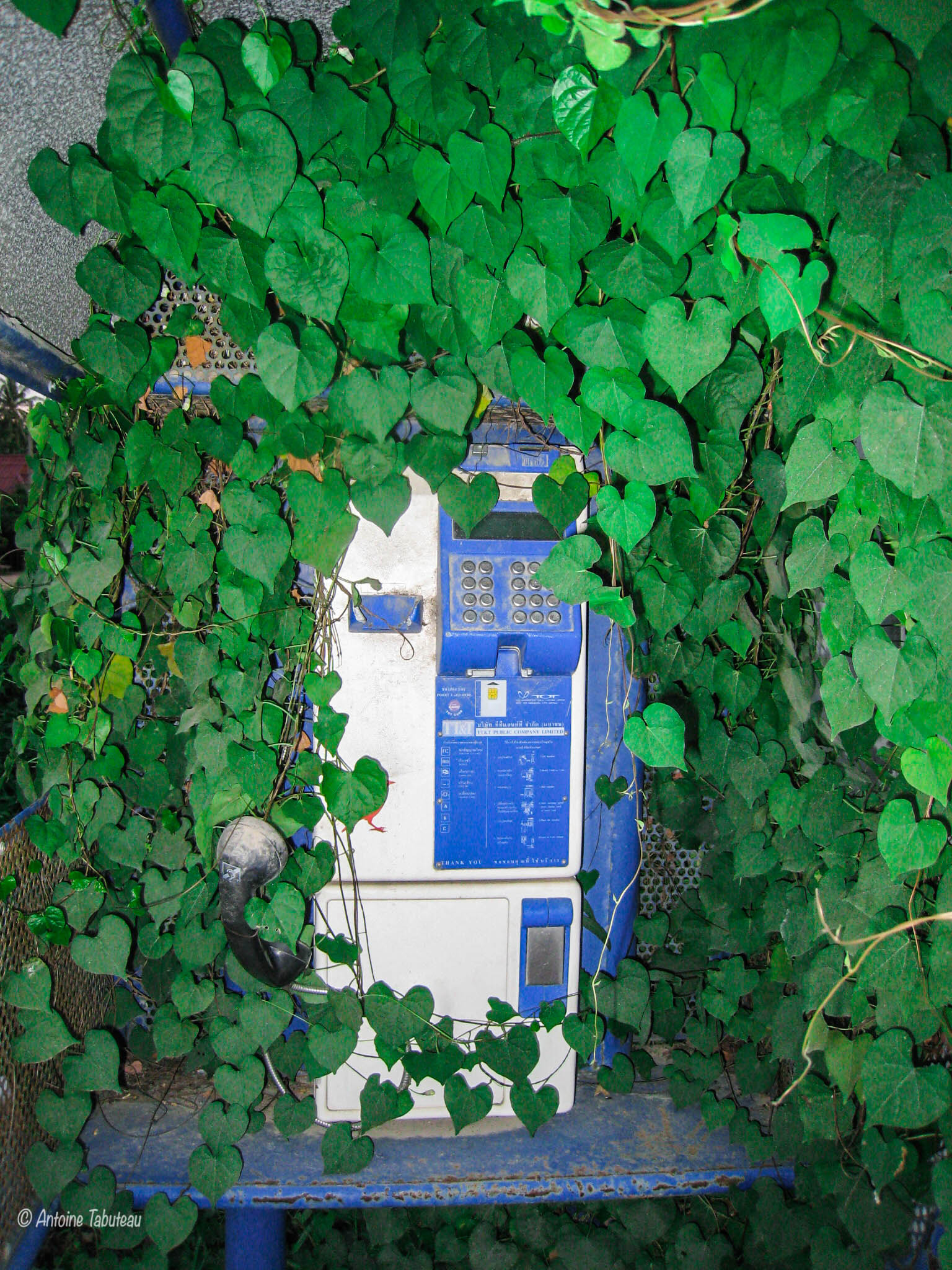 Canon DIGITAL IXUS 850 IS sample photo. Nature vs technology photography