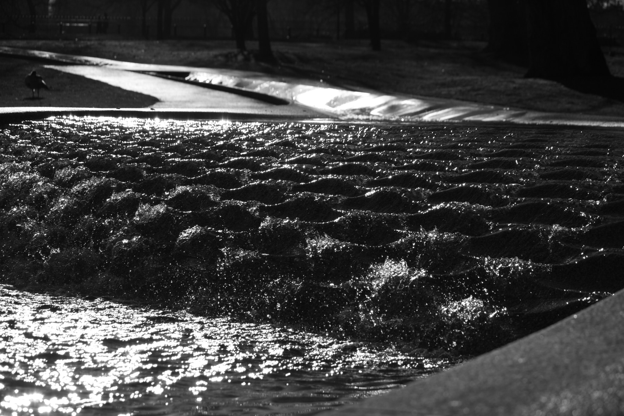 Canon EOS 1000D (EOS Digital Rebel XS / EOS Kiss F) + Canon EF-S 55-250mm F4-5.6 IS sample photo. Princess diana memorial fountain photography