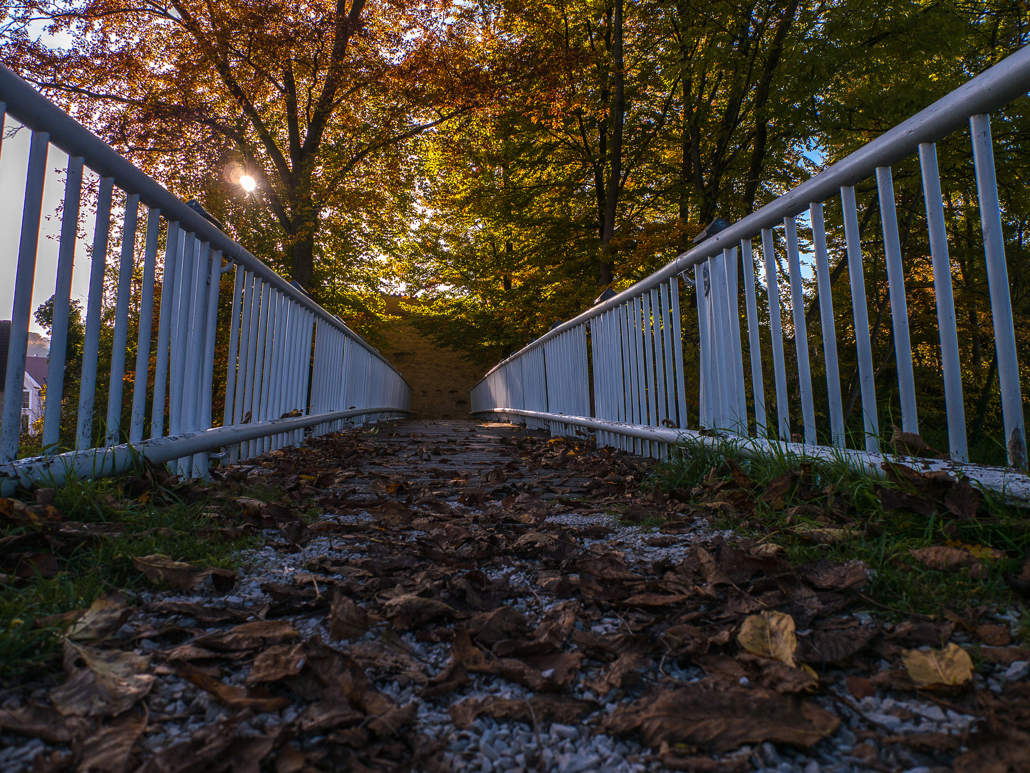 Panasonic Lumix DMC-G5 + Panasonic Lumix G 14mm F2.5 ASPH sample photo. Die brücke photography