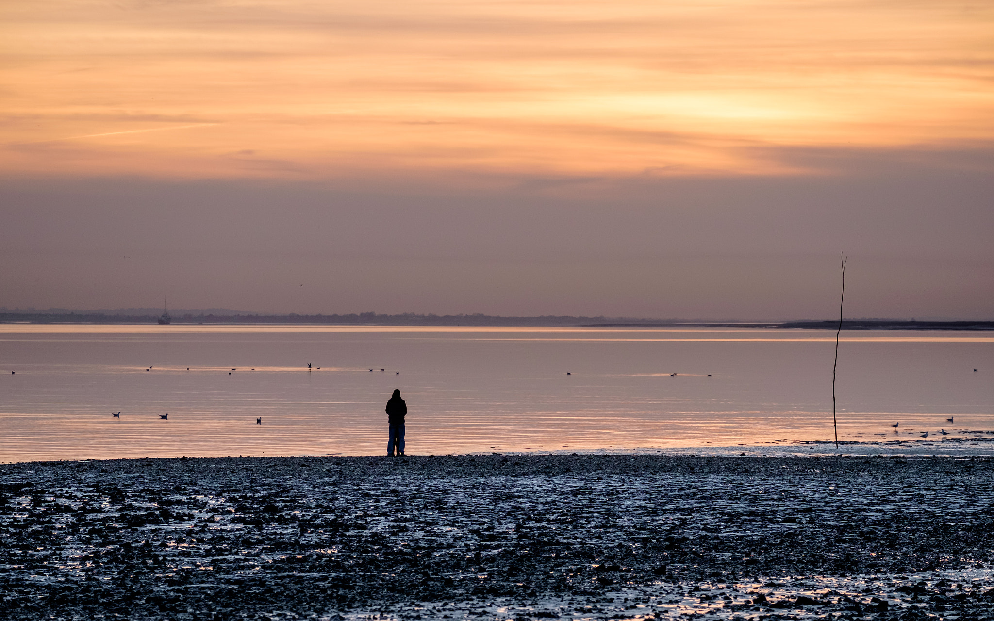 Fujifilm X-E2 + Fujifilm XF 55-200mm F3.5-4.8 R LM OIS sample photo. At the ebb of the day photography