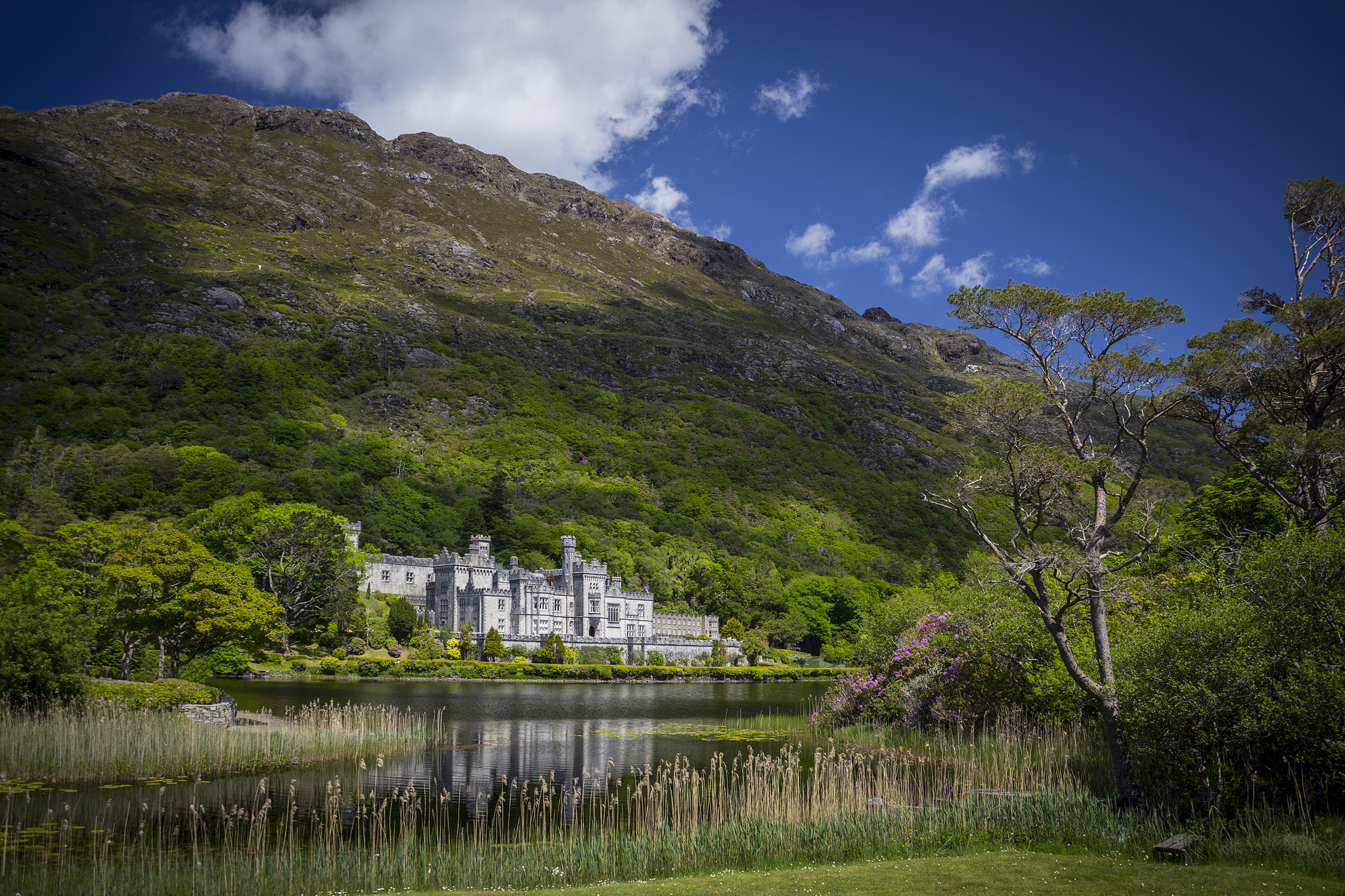 Canon EF 28-80mm f/3.5-5.6 USM IV sample photo. Kylemore abbey photography