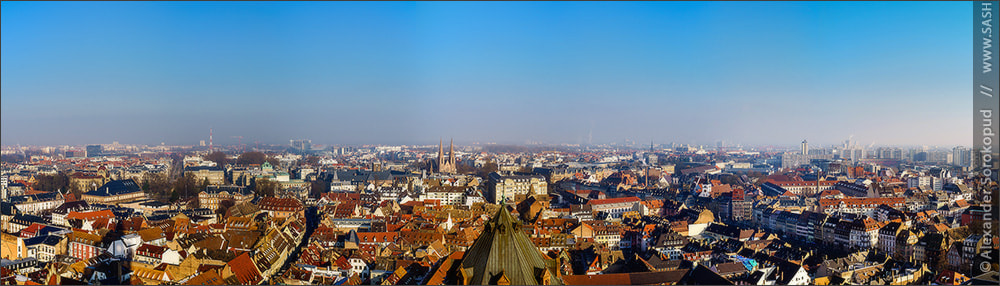 Sony Alpha a99 sample photo. Strasbourg city aerial view from the tower photography