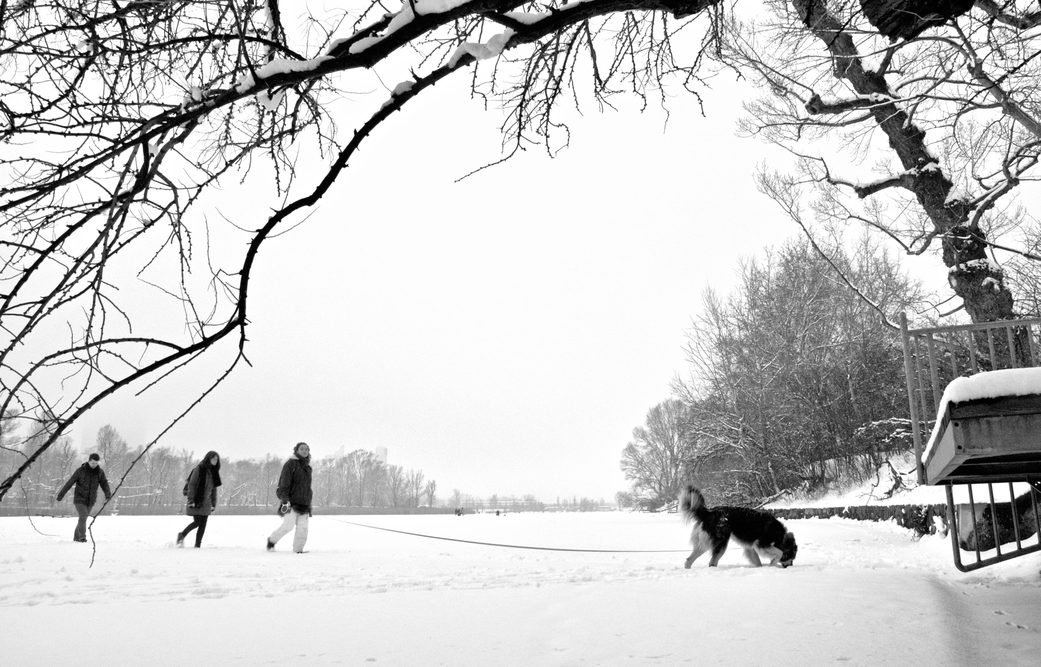 Sony SLT-A77 sample photo. Taking a stroll photography