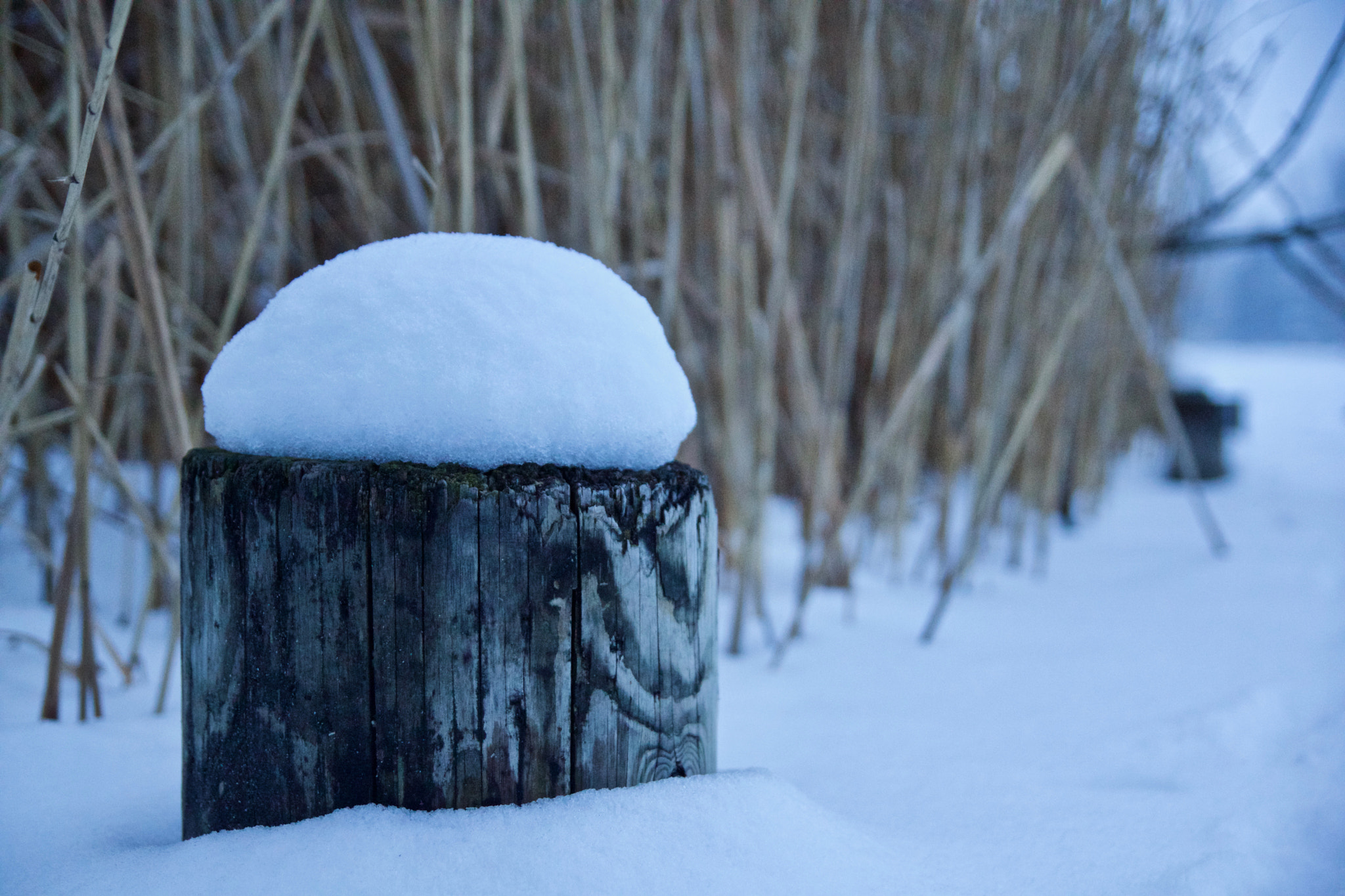 Sony SLT-A77 sample photo. Chapeau... photography