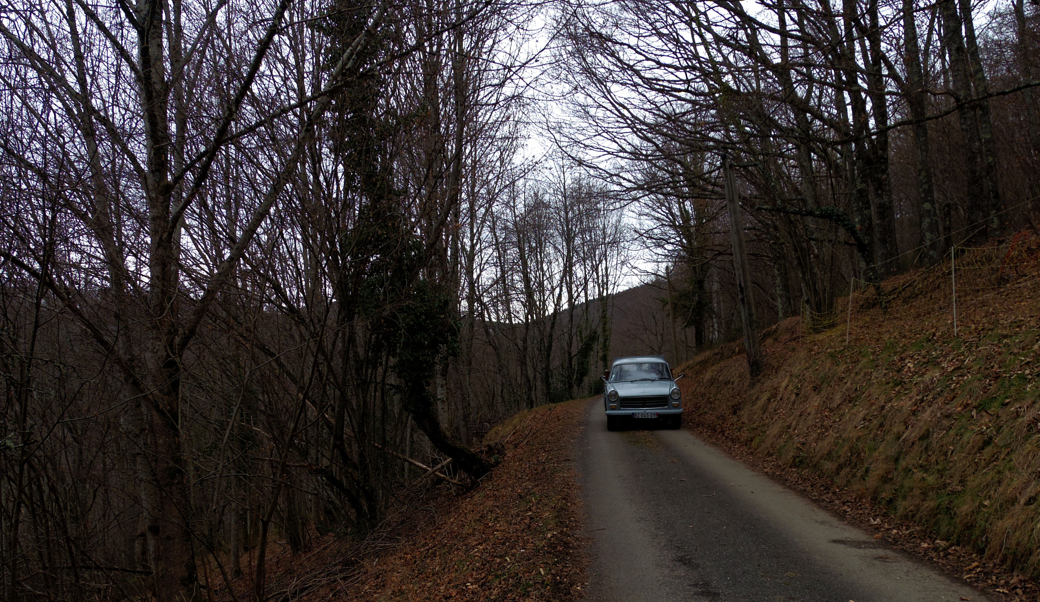 Pentax 02 Standard Zoom sample photo. Car wonder photography