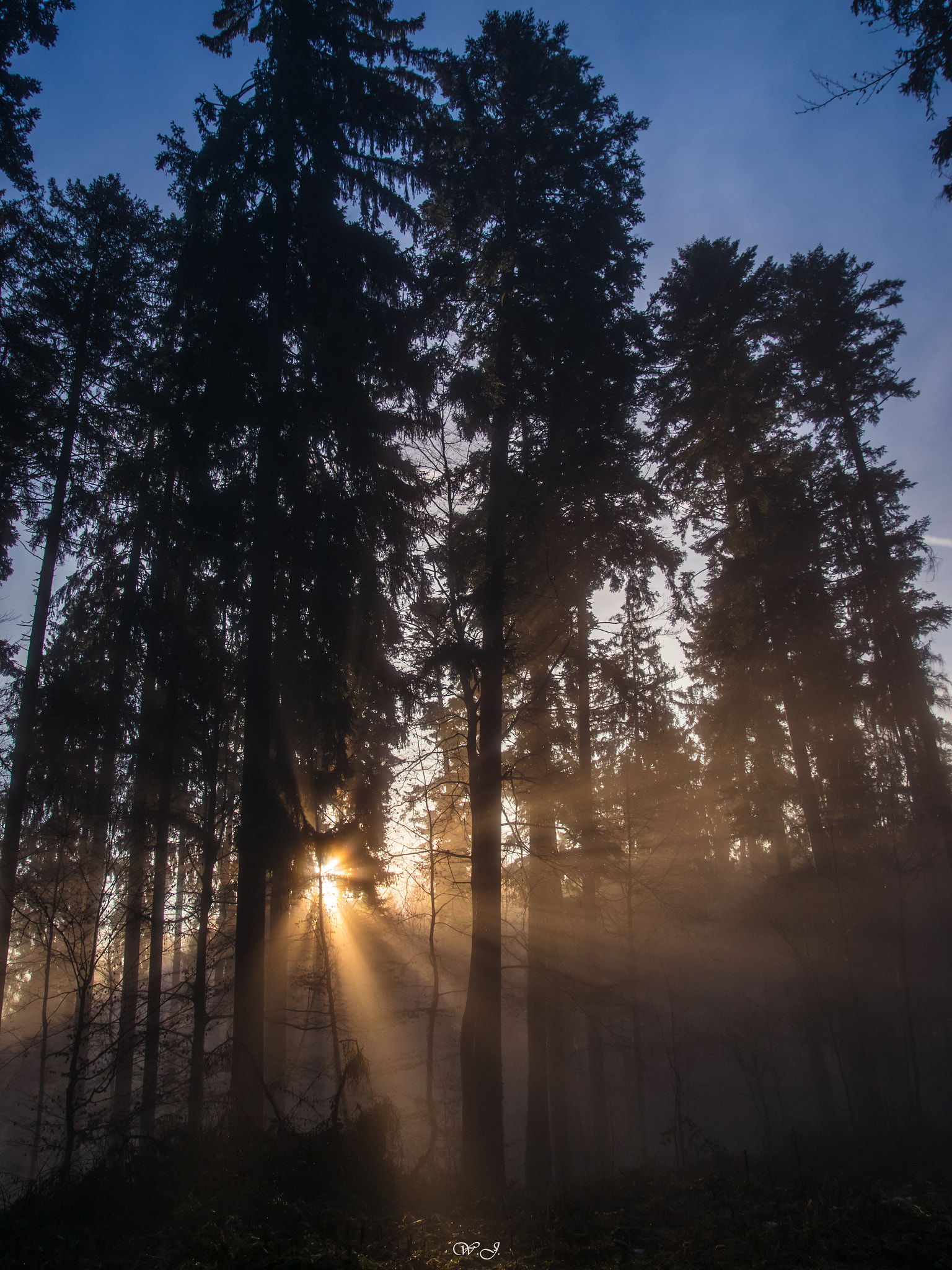 Sony ILCA-77M2 sample photo. Rays of light photography